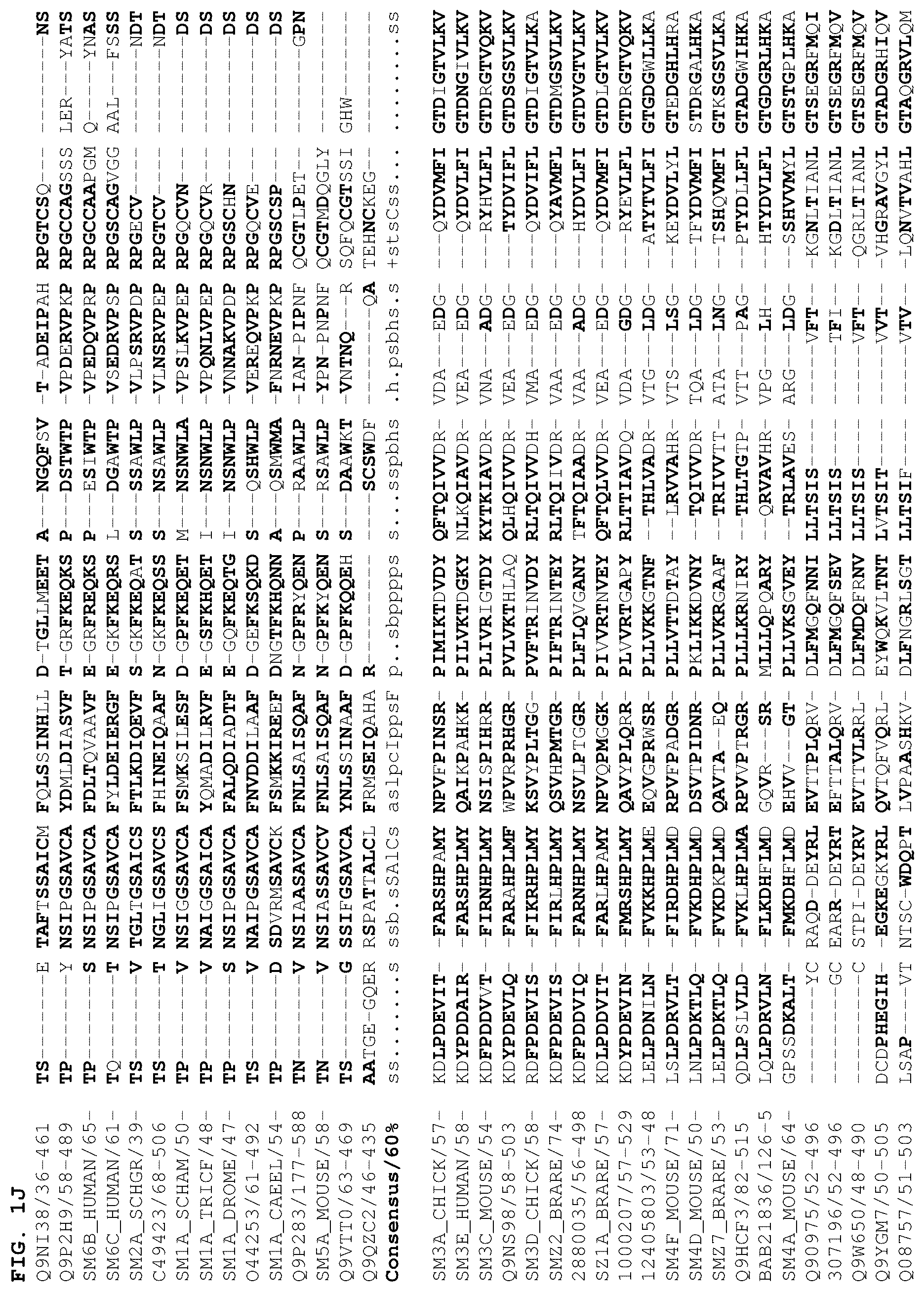 Patent US12378301 Figure 10 – B1SP fusion protein therapeutics, methods, and uses