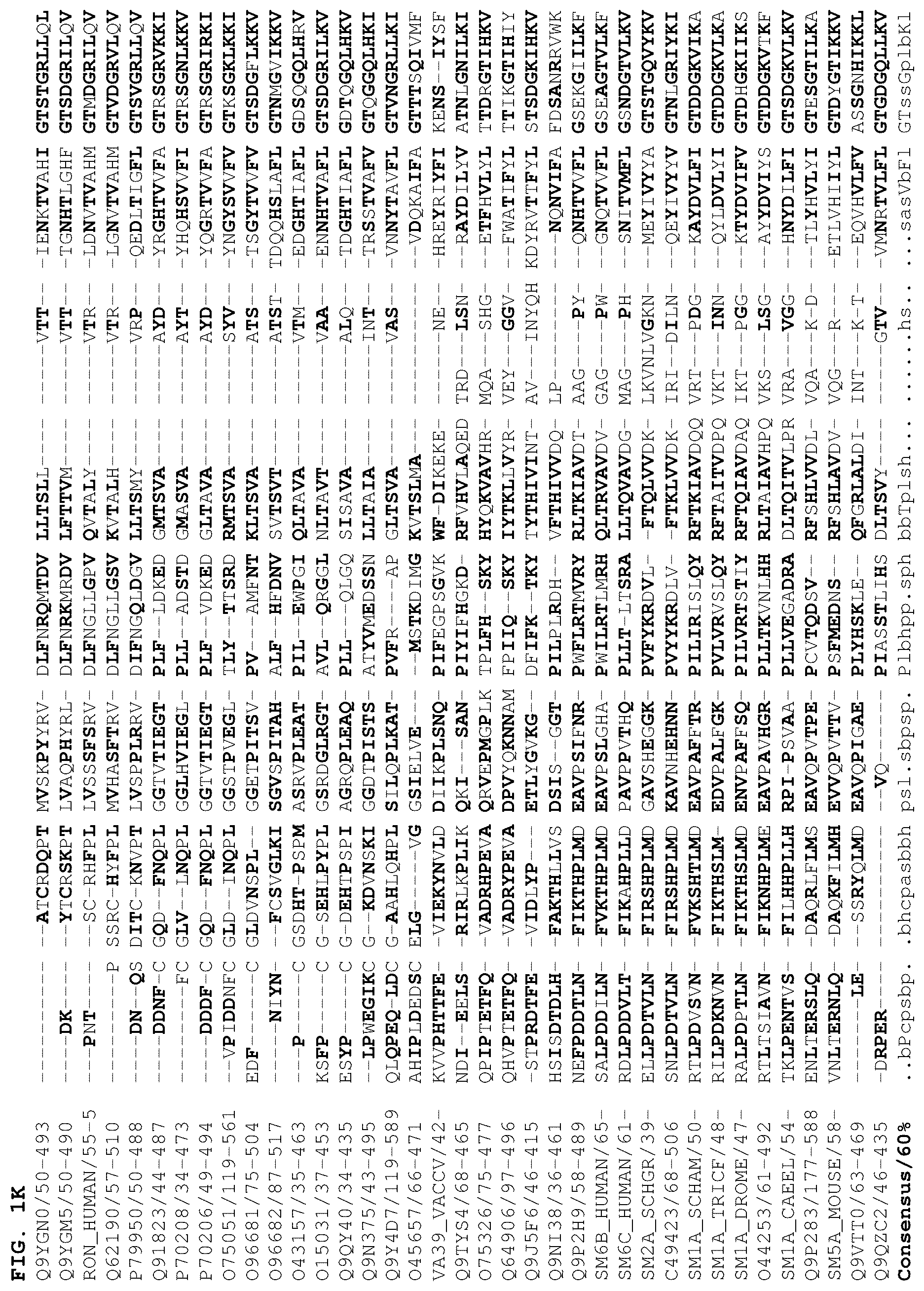 Patent US12378301 Figure 11 – B1SP fusion protein therapeutics, methods, and uses