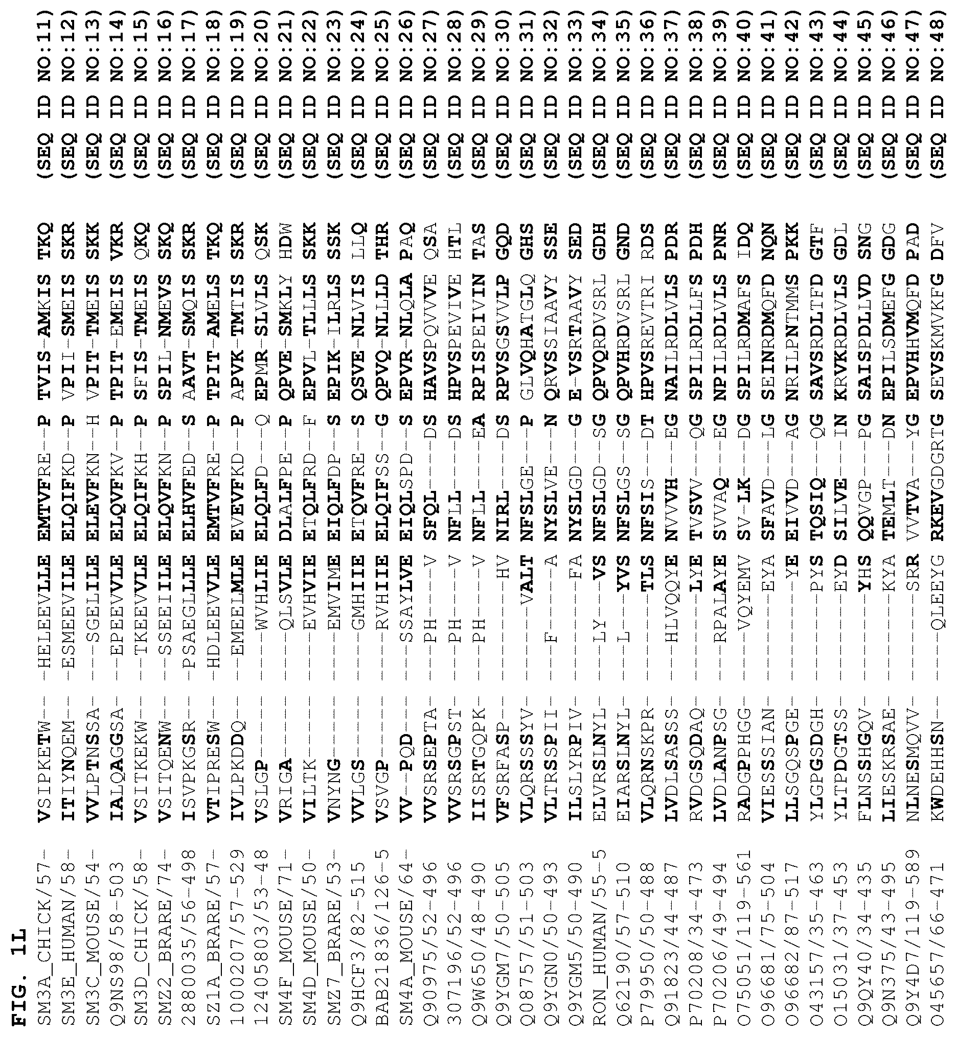 Patent US12378301 Figure 12 – B1SP fusion protein therapeutics, methods, and uses