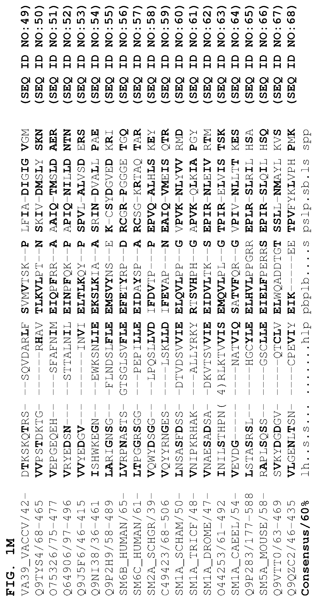 Patent US12378301 Figure 13 – B1SP fusion protein therapeutics, methods, and uses
