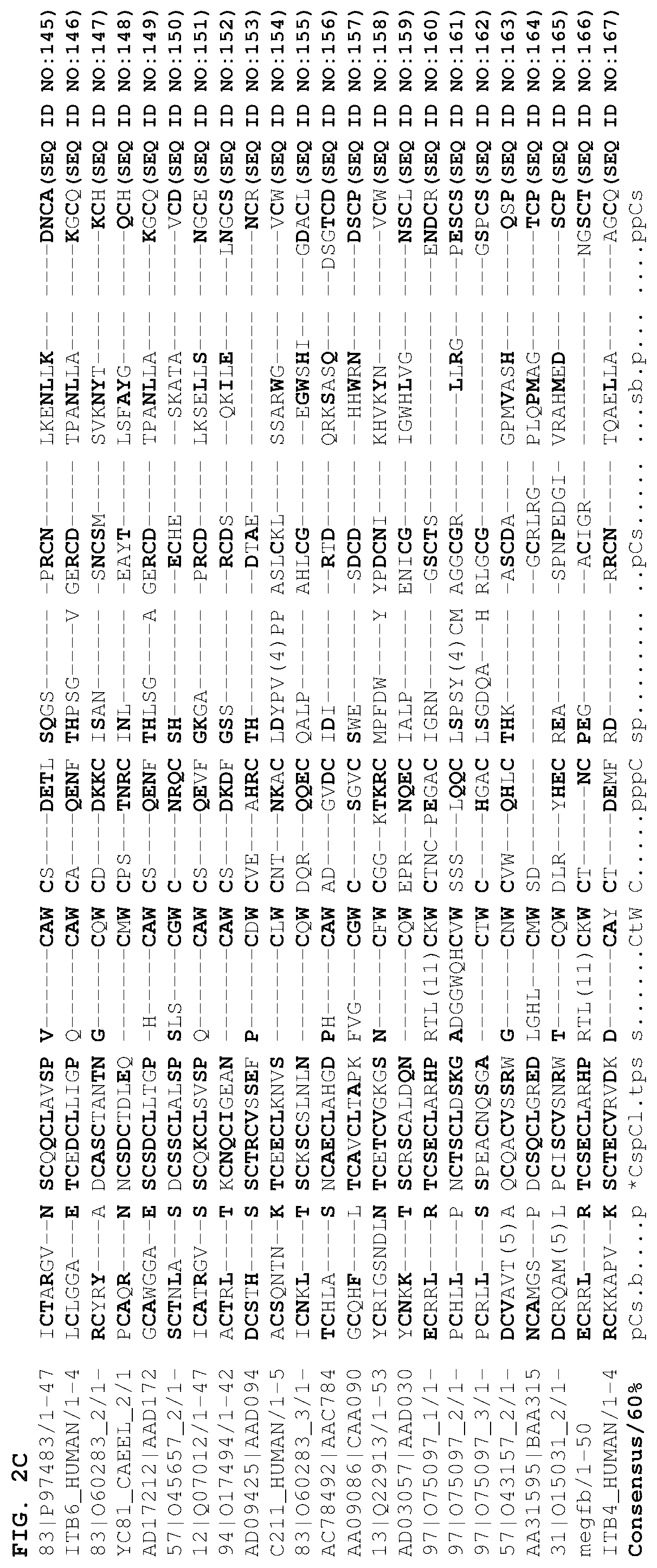 Patent US12378301 Figure 16 – B1SP fusion protein therapeutics, methods, and uses