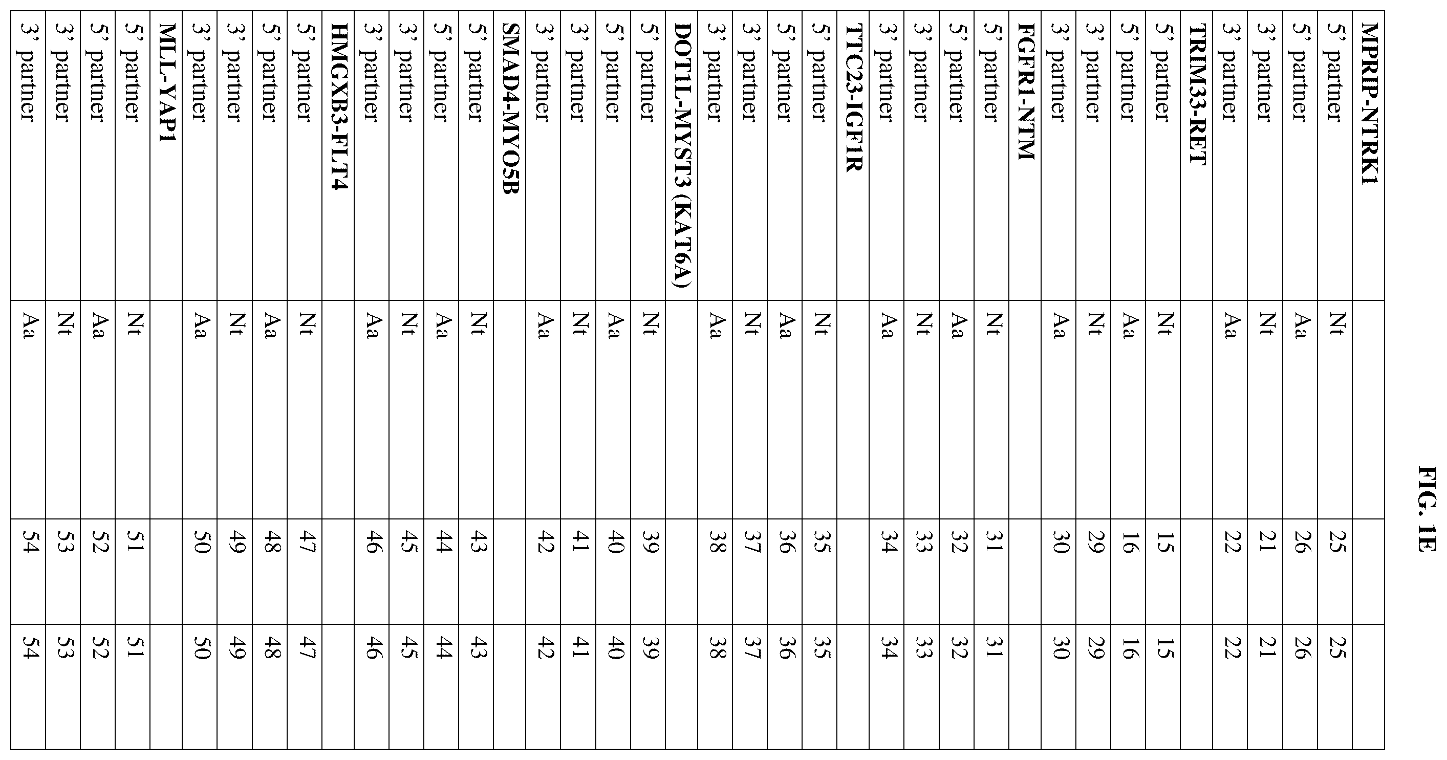Patent US12378302 Figure 5 – Fusion molecules and uses thereof