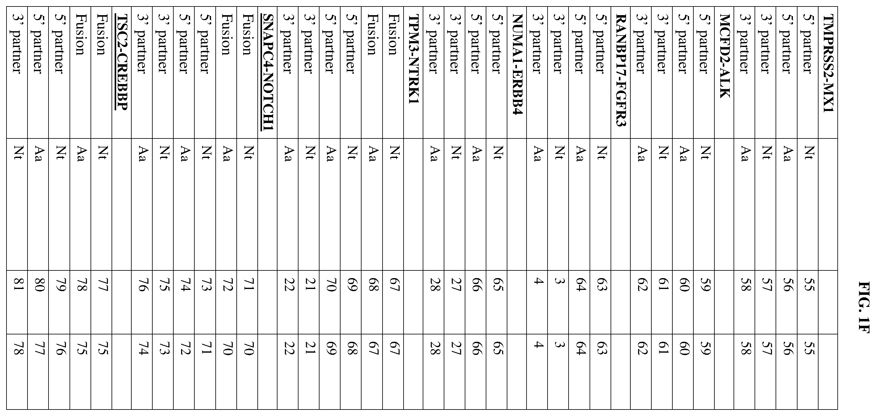 Patent US12378302 Figure 6 – Fusion molecules and uses thereof