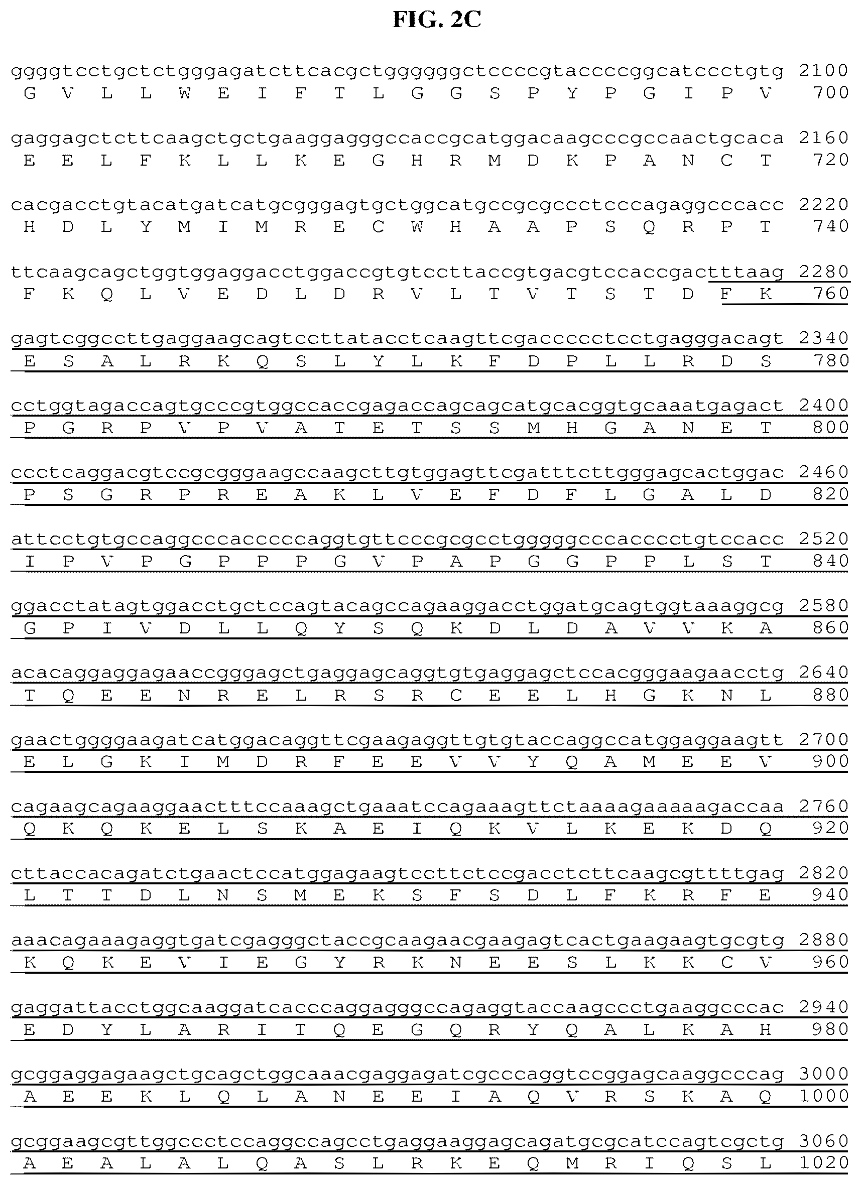 Patent US12378302 Figure 11 – Fusion molecules and uses thereof