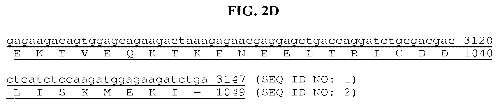 Patent US12378302 Figure 12 – Fusion molecules and uses thereof