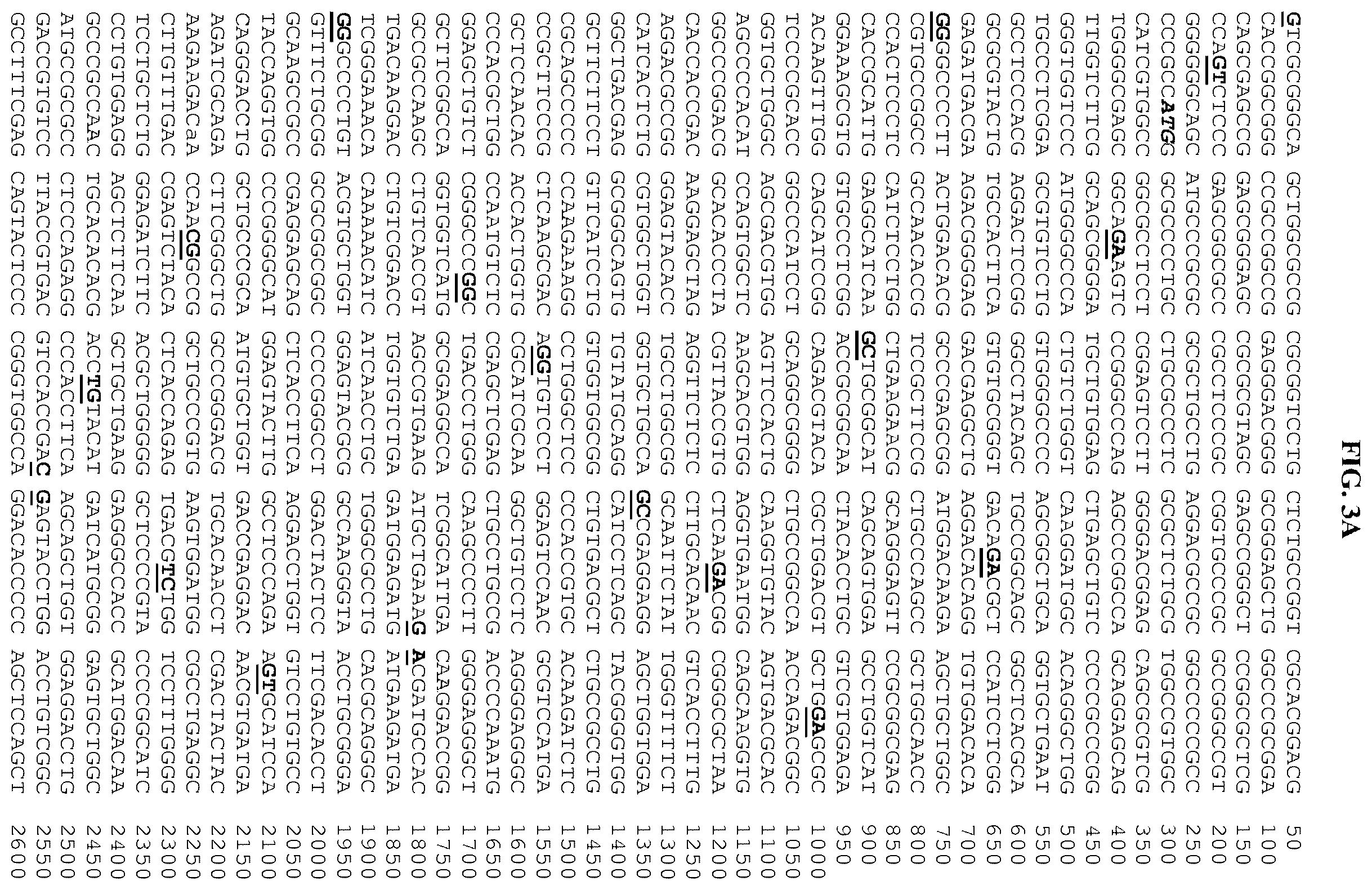 Patent US12378302 Figure 13 – Fusion molecules and uses thereof