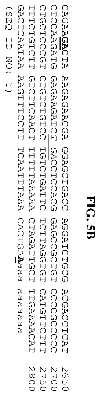 Patent US12378302 Figure 17 – Fusion molecules and uses thereof