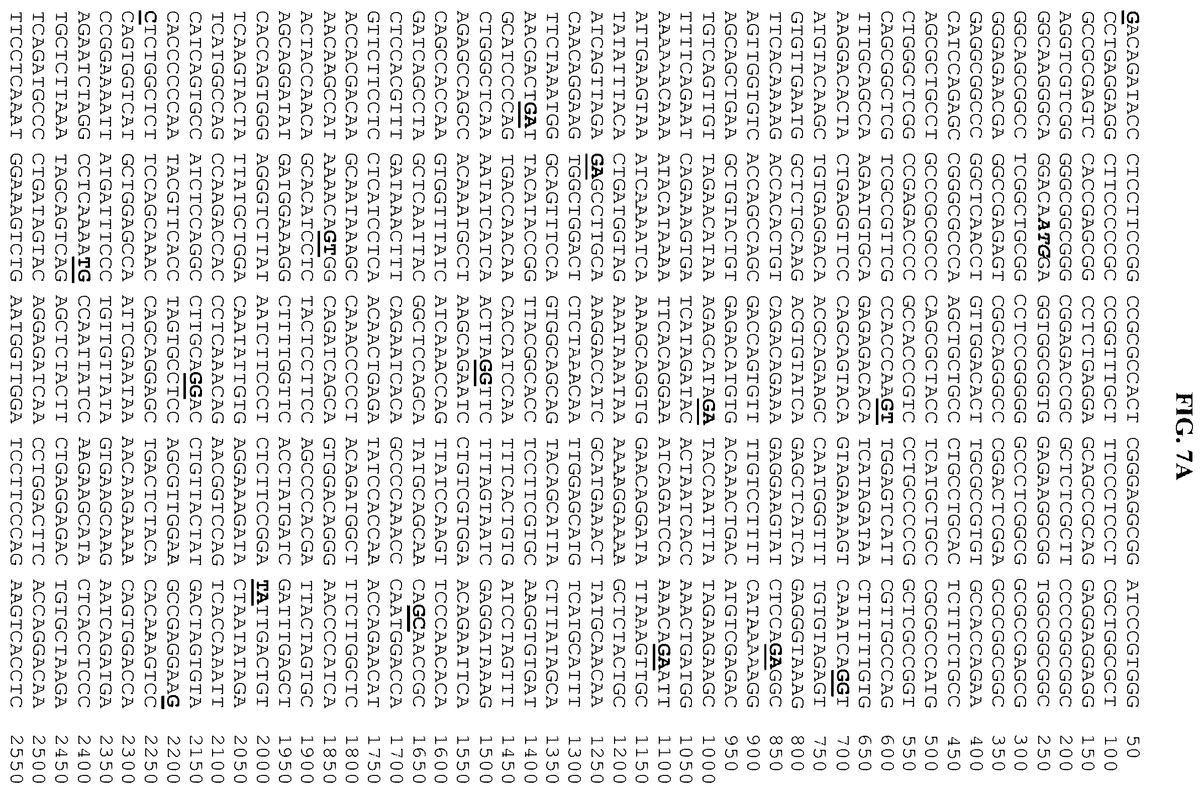 Patent US12378302 Figure 19 – Fusion molecules and uses thereof