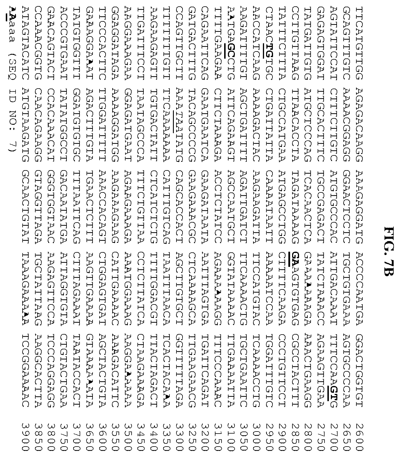 Patent US12378302 Figure 20 – Fusion molecules and uses thereof