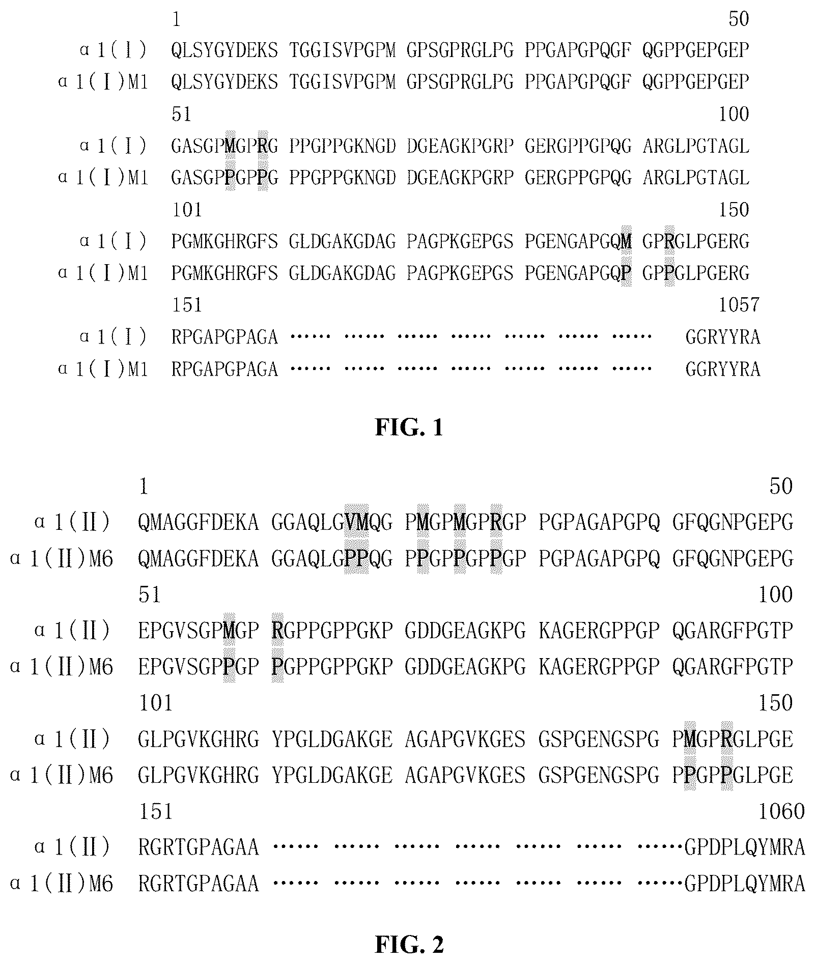 Patent US12378303 Figure 1 – Recombinant collagen and preparation method and use thereof