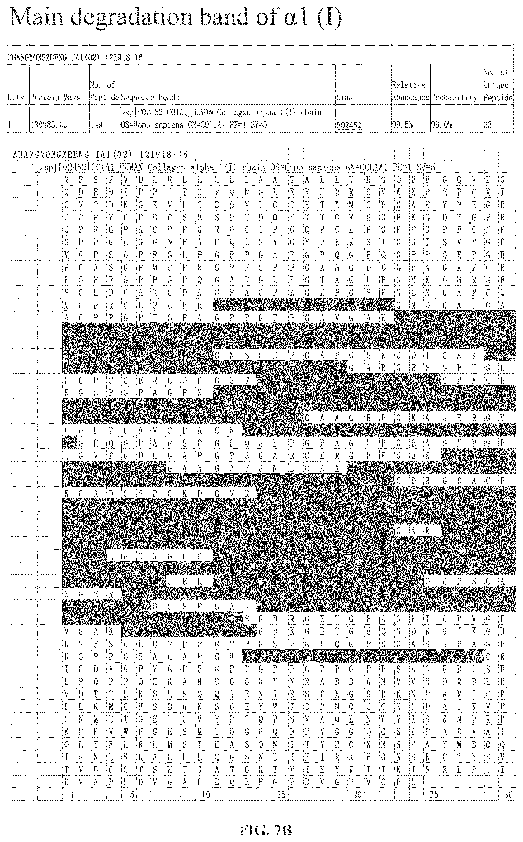 Patent US12378303 Figure 7 – Recombinant collagen and preparation method and use thereof