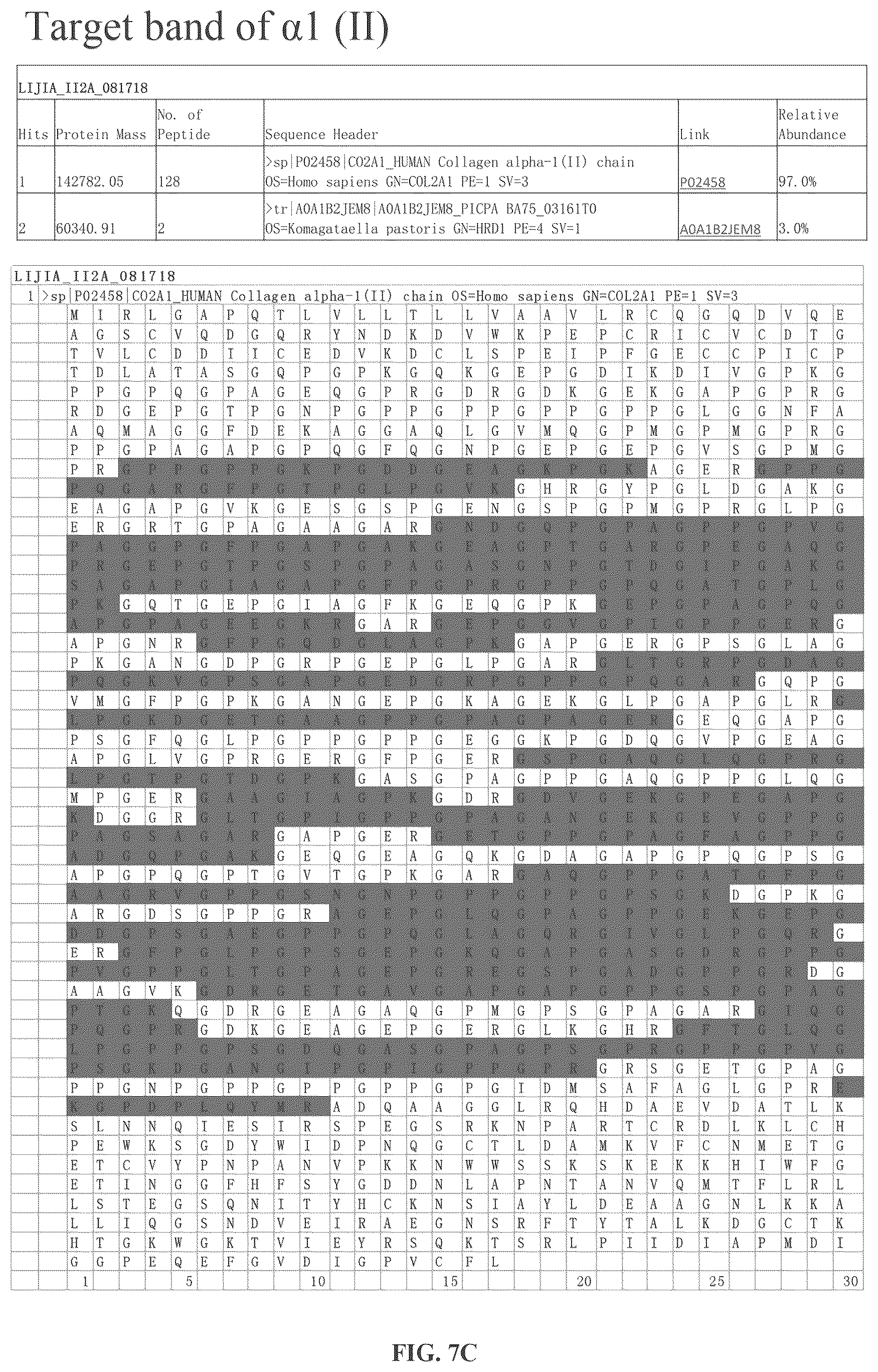 Patent US12378303 Figure 8 – Recombinant collagen and preparation method and use thereof
