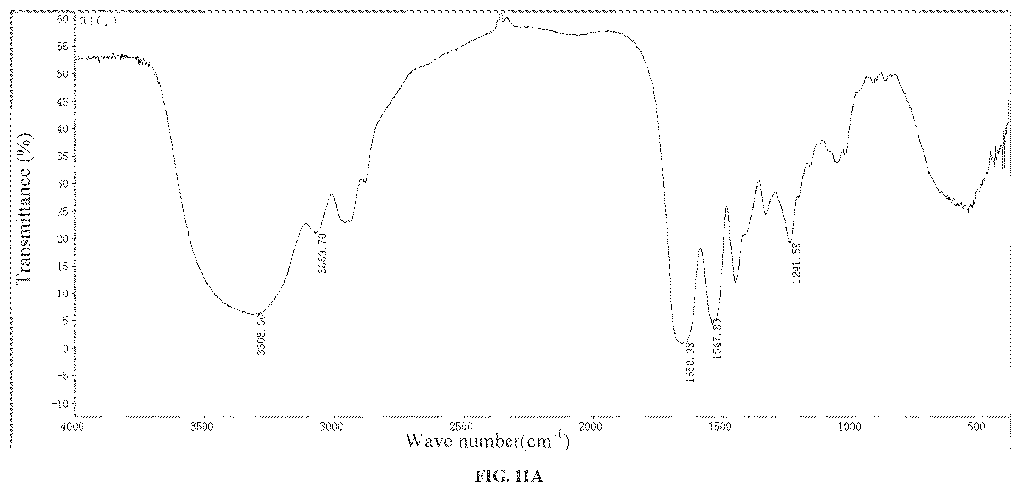 Patent US12378303 Figure 14 – Recombinant collagen and preparation method and use thereof
