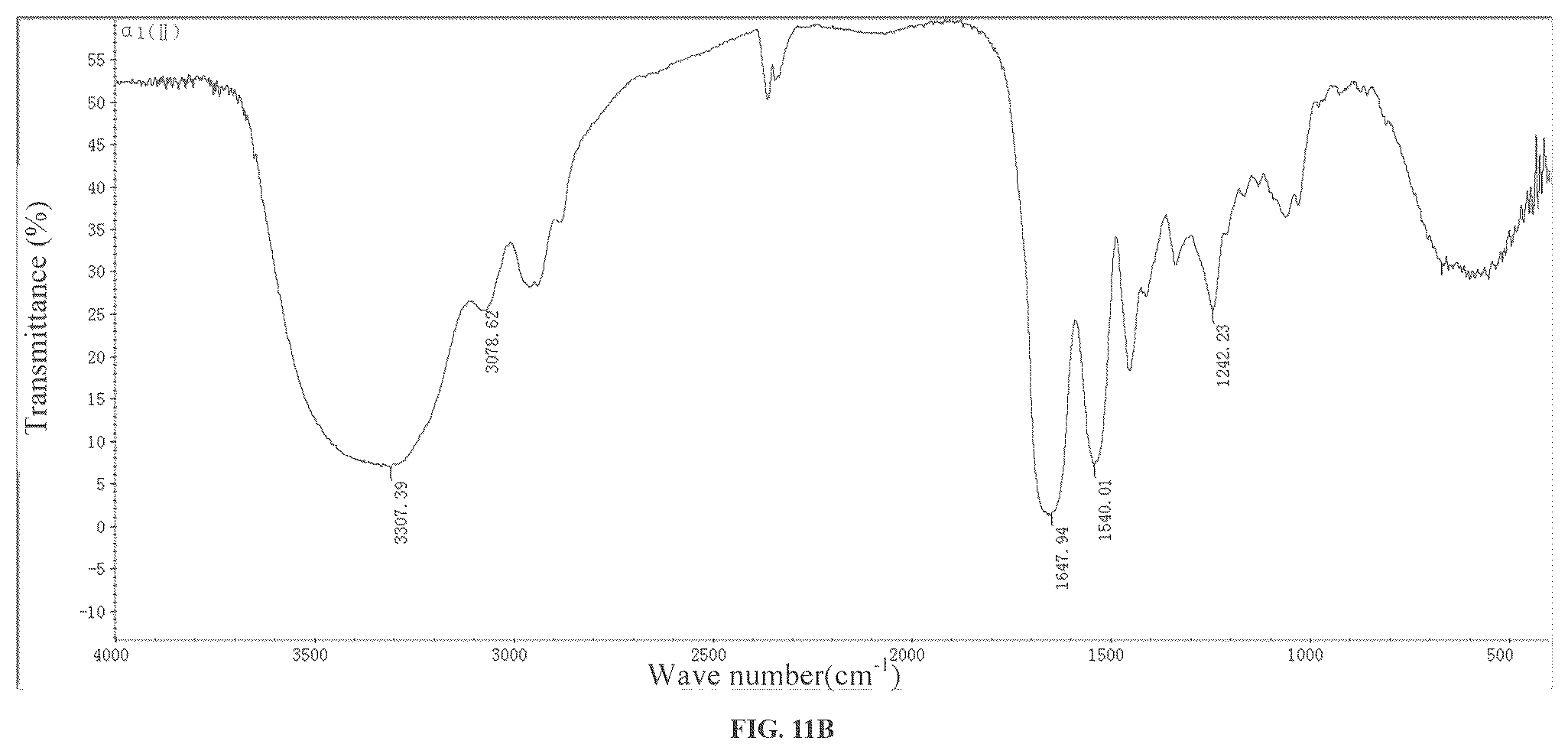 Patent US12378303 Figure 15 – Recombinant collagen and preparation method and use thereof