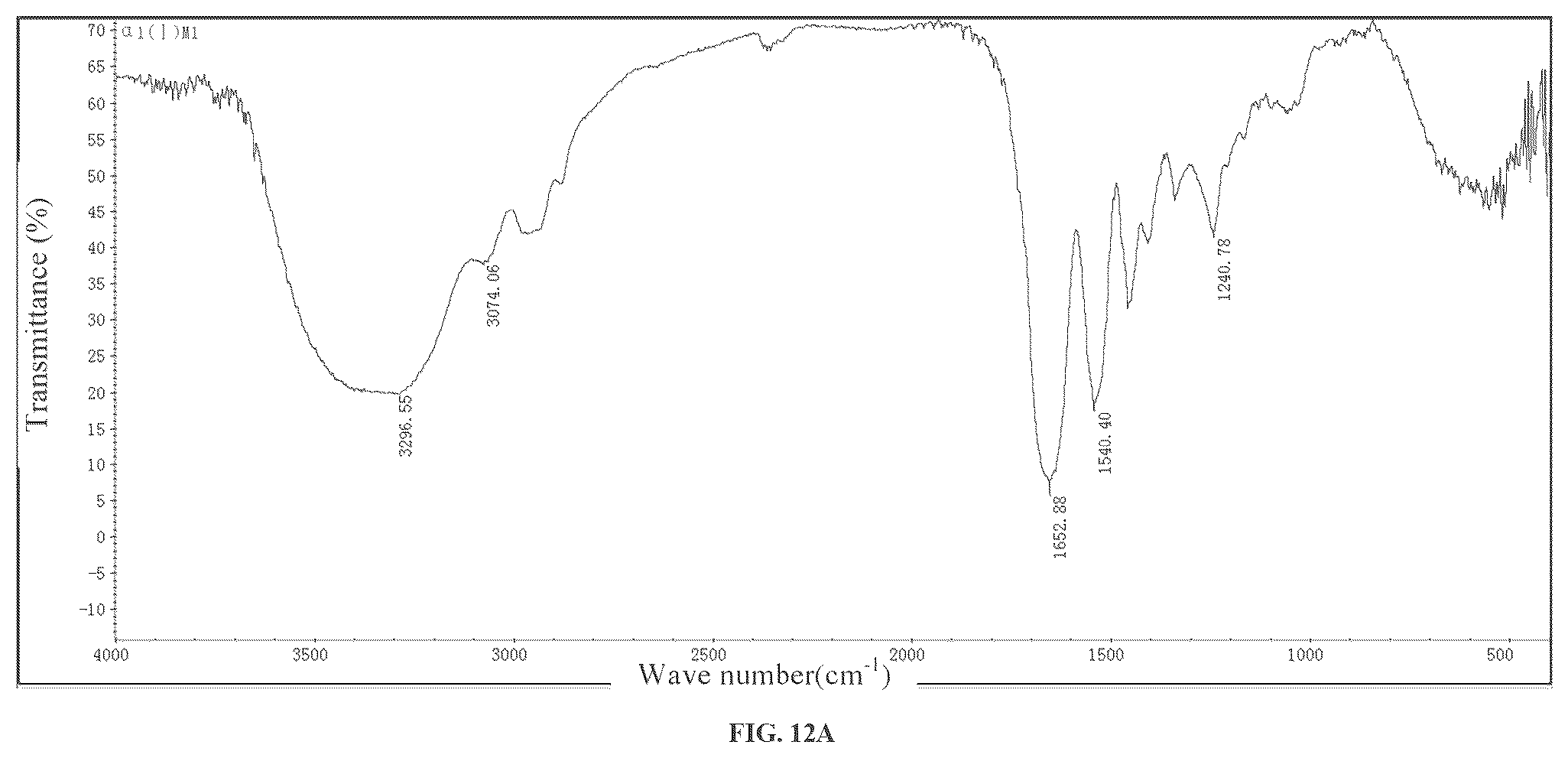 Patent US12378303 Figure 16 – Recombinant collagen and preparation method and use thereof