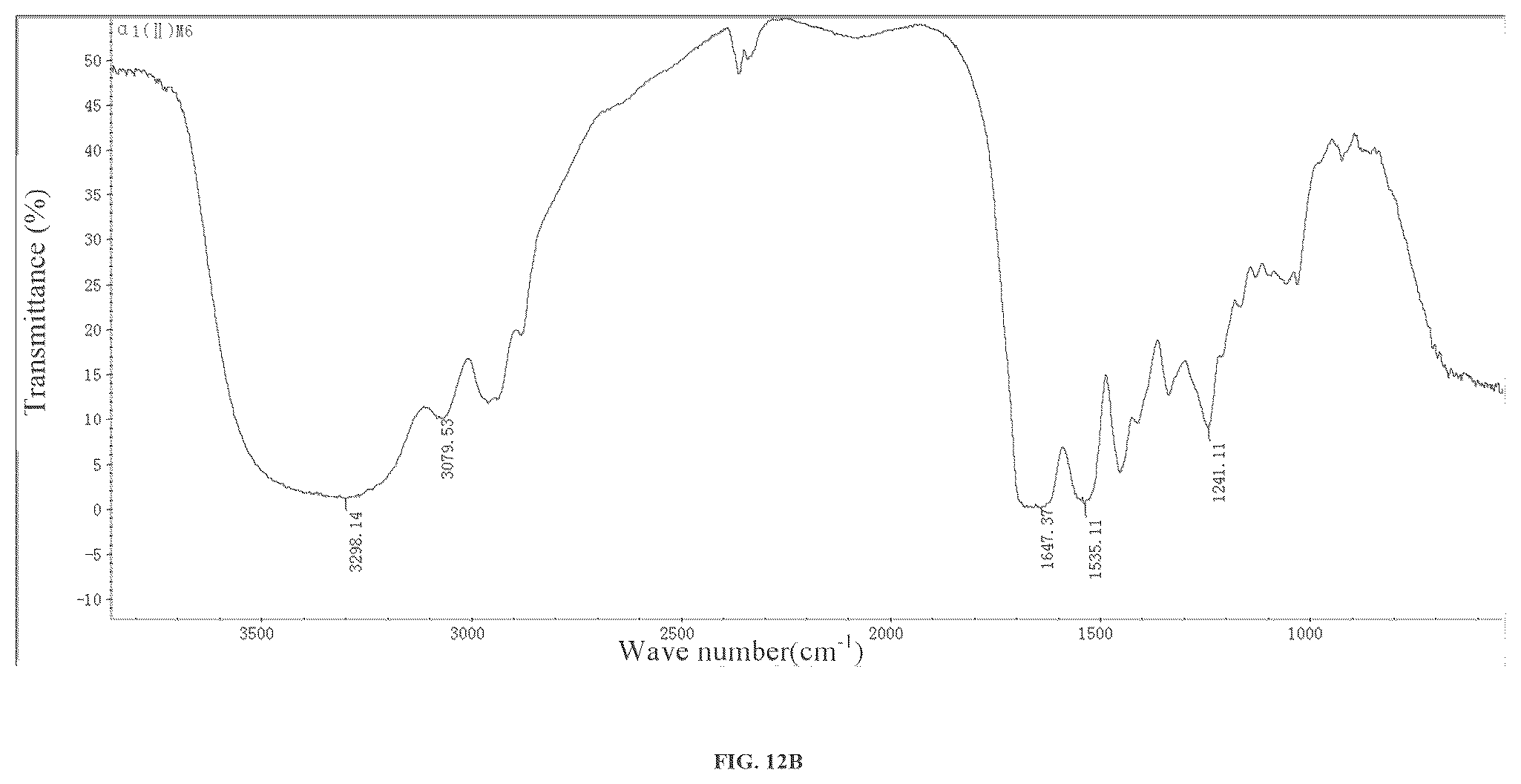 Patent US12378303 Figure 17 – Recombinant collagen and preparation method and use thereof