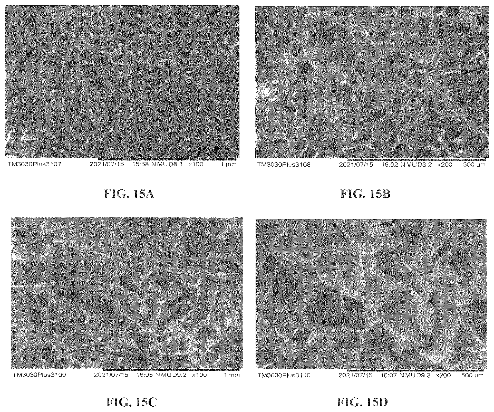 Patent US12378303 Figure 20 – Recombinant collagen and preparation method and use thereof