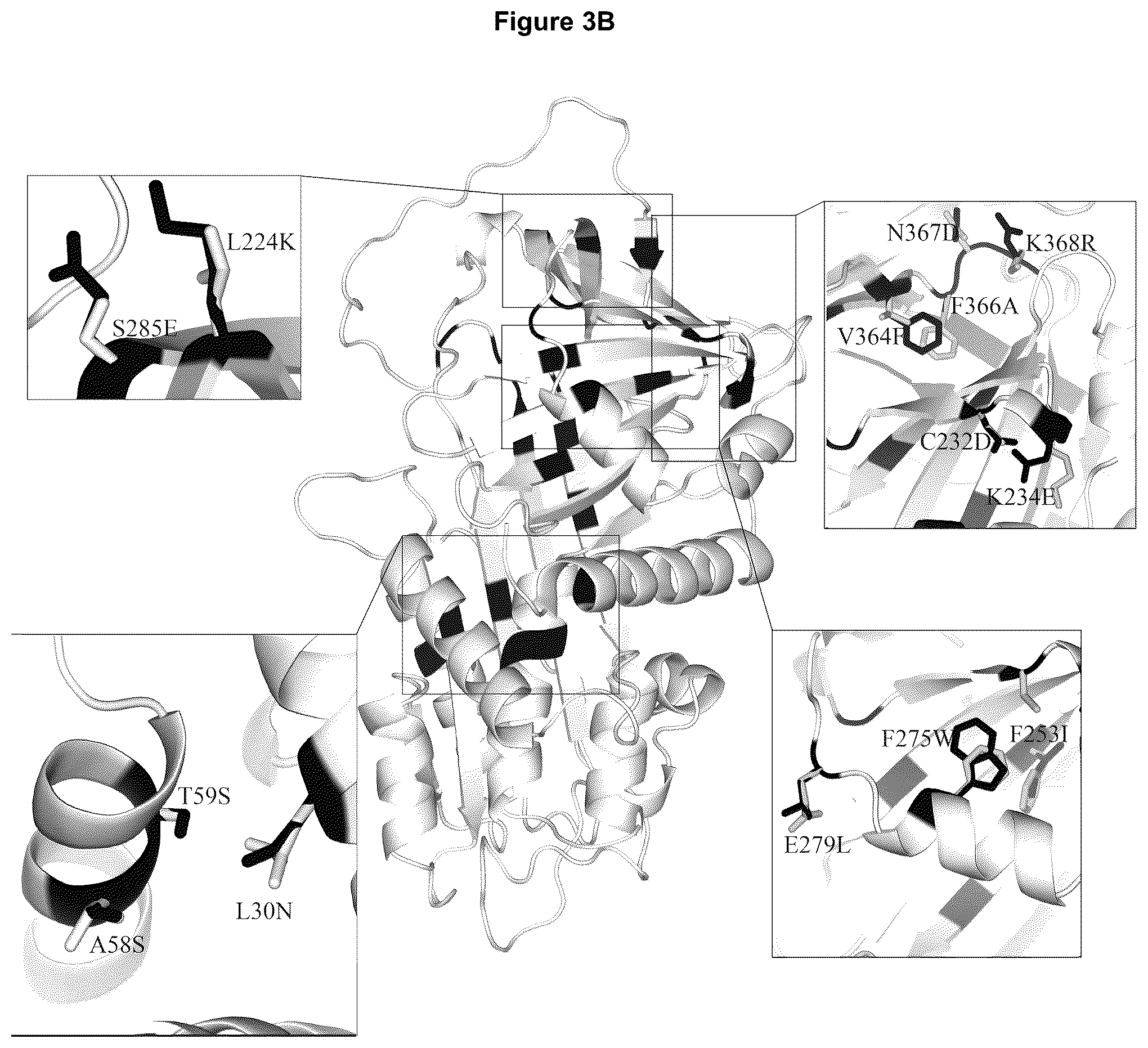 Patent US12378304 Figure 7 – Therapeutic polypeptide