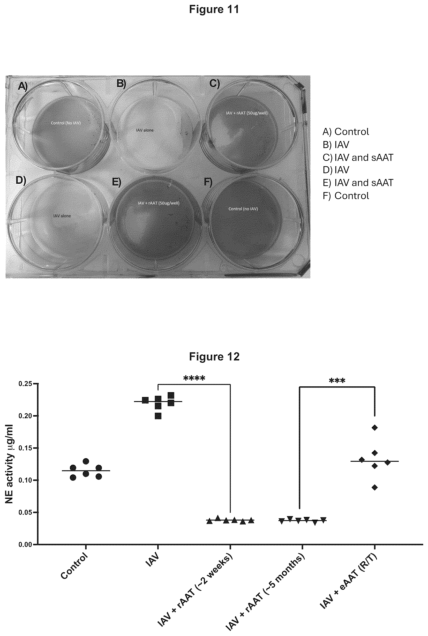 Patent US12378304 Figure 14 – Therapeutic polypeptide
