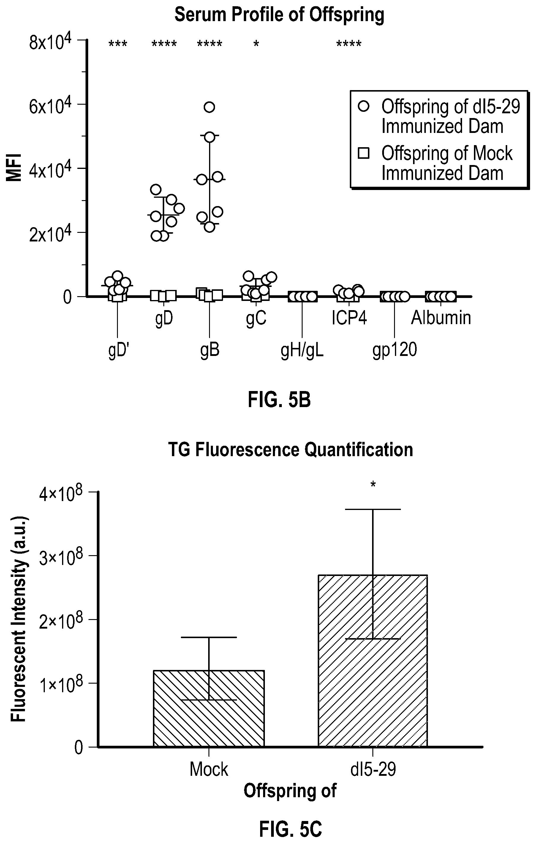 Patent US12378305 Figure 5 – Compositions and methods for preventing or ameliorating neonatal HSV infection