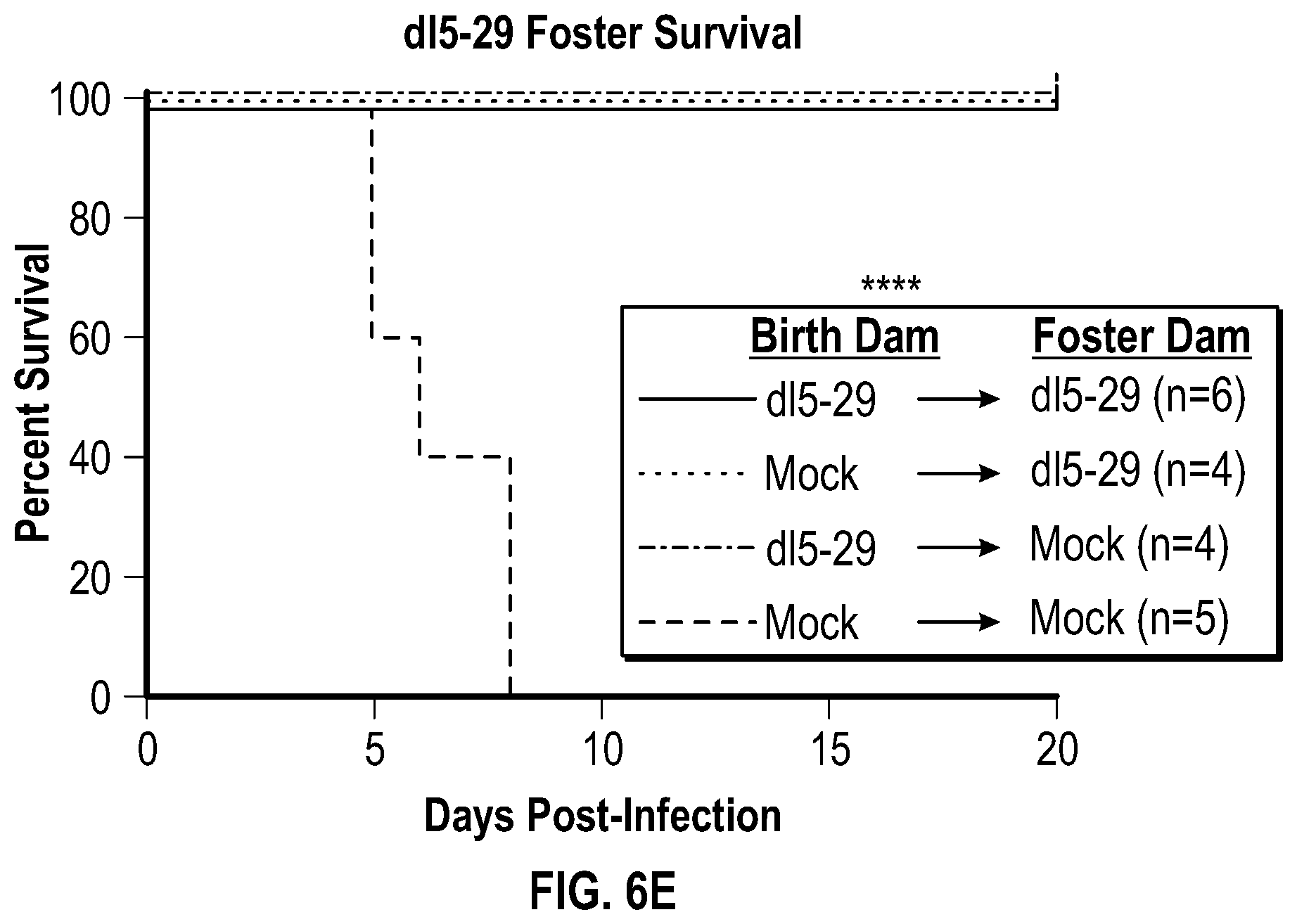 Patent US12378305 Figure 8 – Compositions and methods for preventing or ameliorating neonatal HSV infection