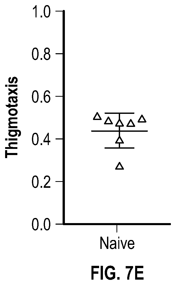 Patent US12378305 Figure 11 – Compositions and methods for preventing or ameliorating neonatal HSV infection