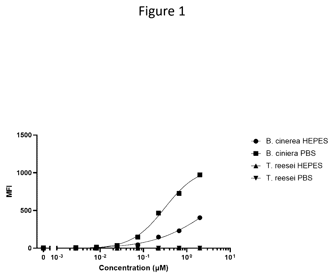 Patent US12378306 Figure 1 – Anti-fungal VHH antibodies