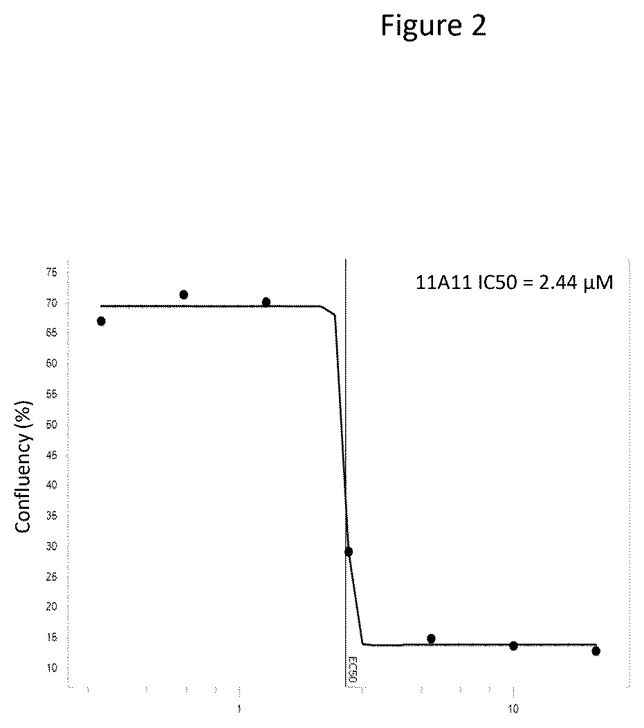 Patent US12378306 Figure 2 – Anti-fungal VHH antibodies