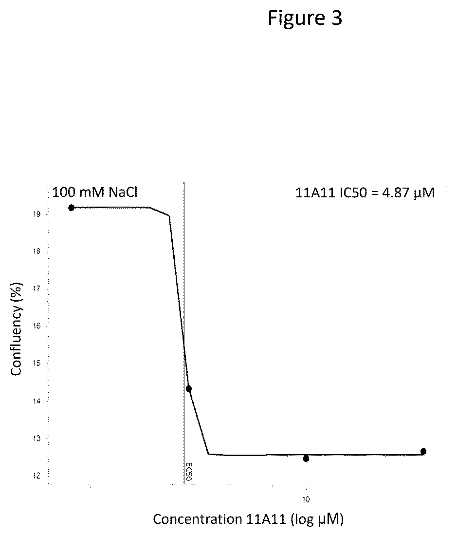 Patent US12378306 Figure 3 – Anti-fungal VHH antibodies