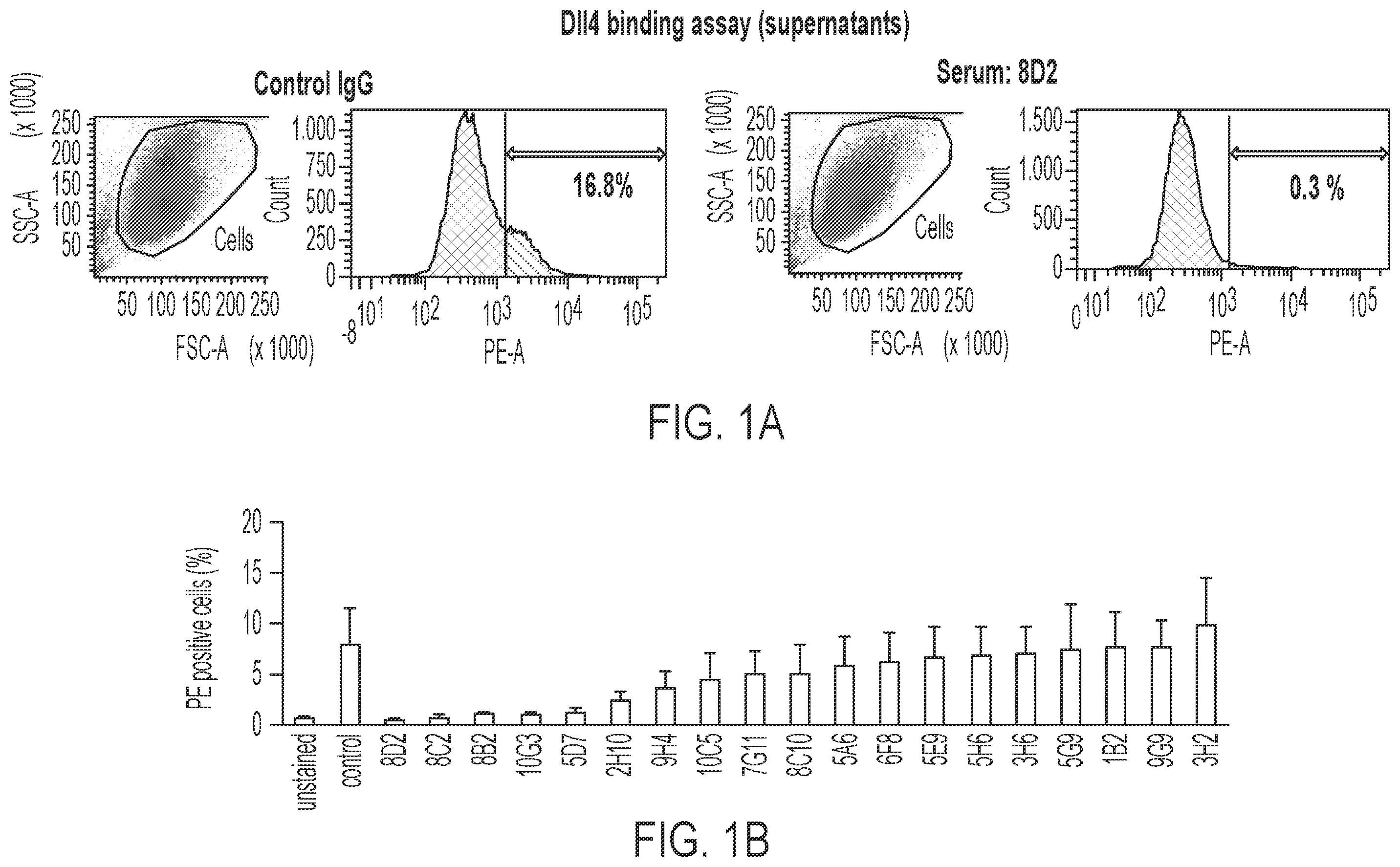 Patent US12378307 — Antibodies blocking DLL4-mediated notch signalling — Figure 1