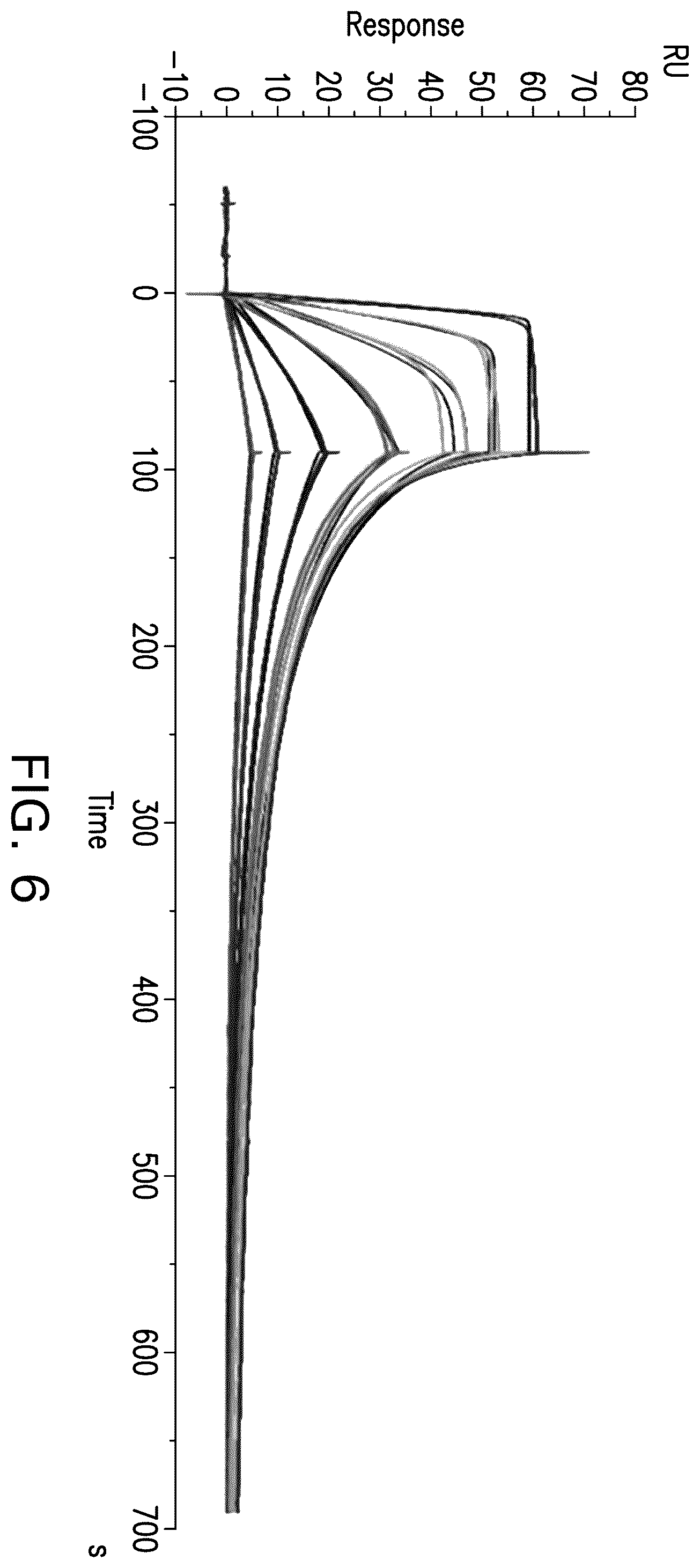 Patent US12378308 Figure 16 – Anti-NGF antibodies and uses thereof