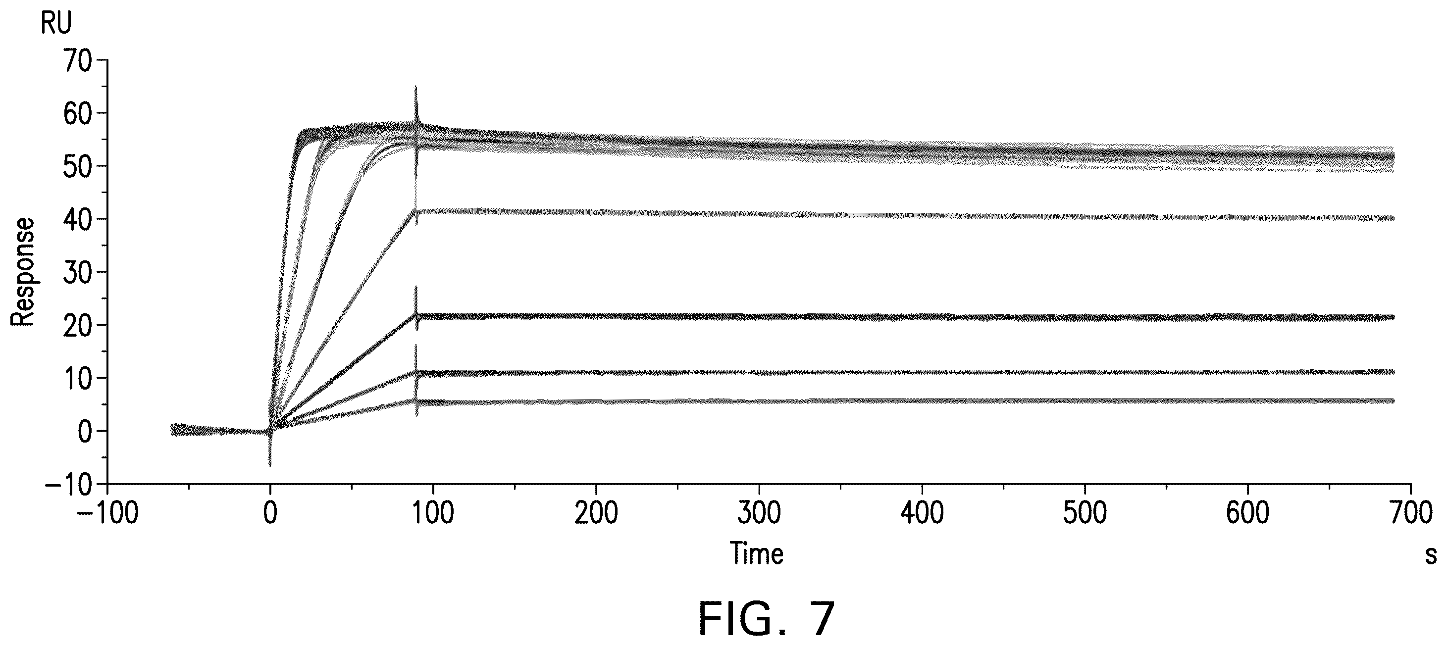 Patent US12378308 Figure 17 – Anti-NGF antibodies and uses thereof