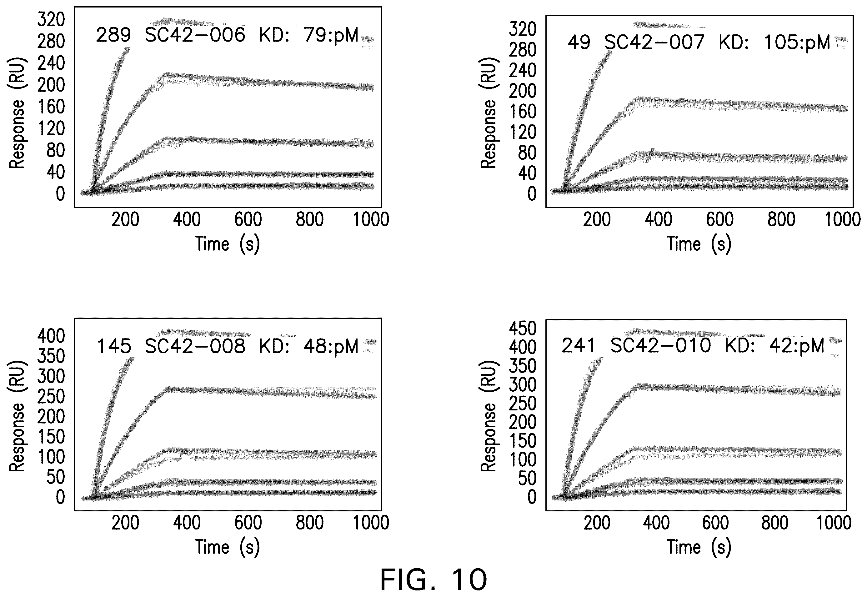 Patent US12378308 Figure 20 – Anti-NGF antibodies and uses thereof