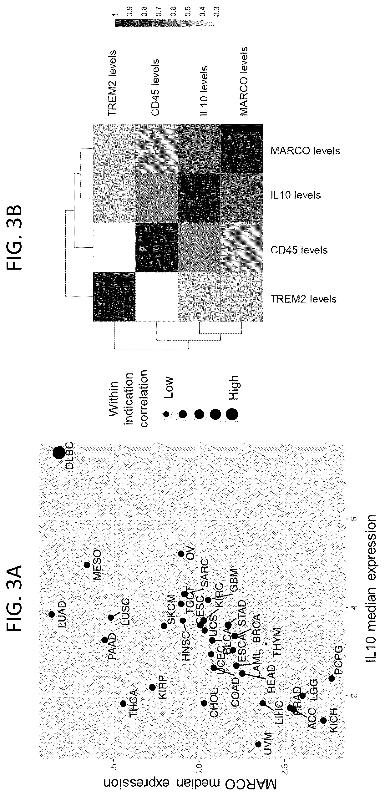Patent US12378311 Figure 3 – Anti-MARCO antibodies and uses thereof