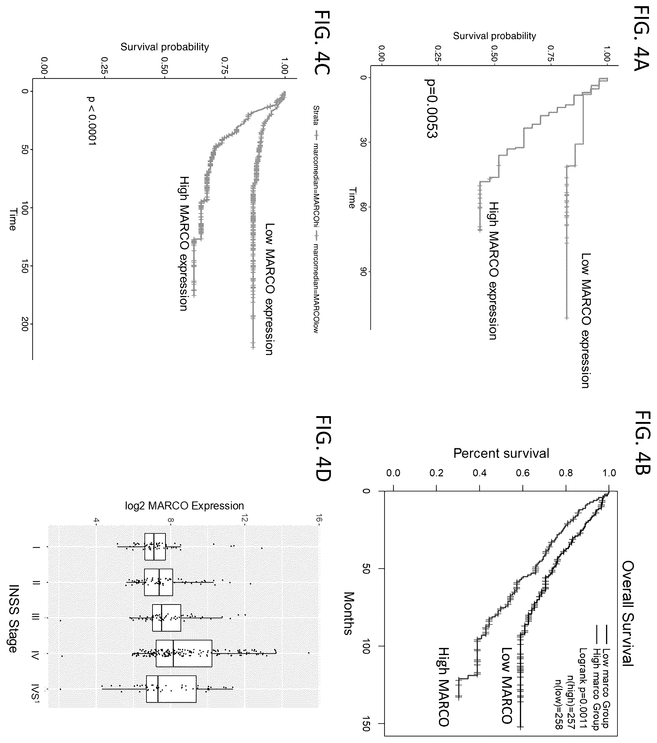 Patent US12378311 Figure 4 – Anti-MARCO antibodies and uses thereof