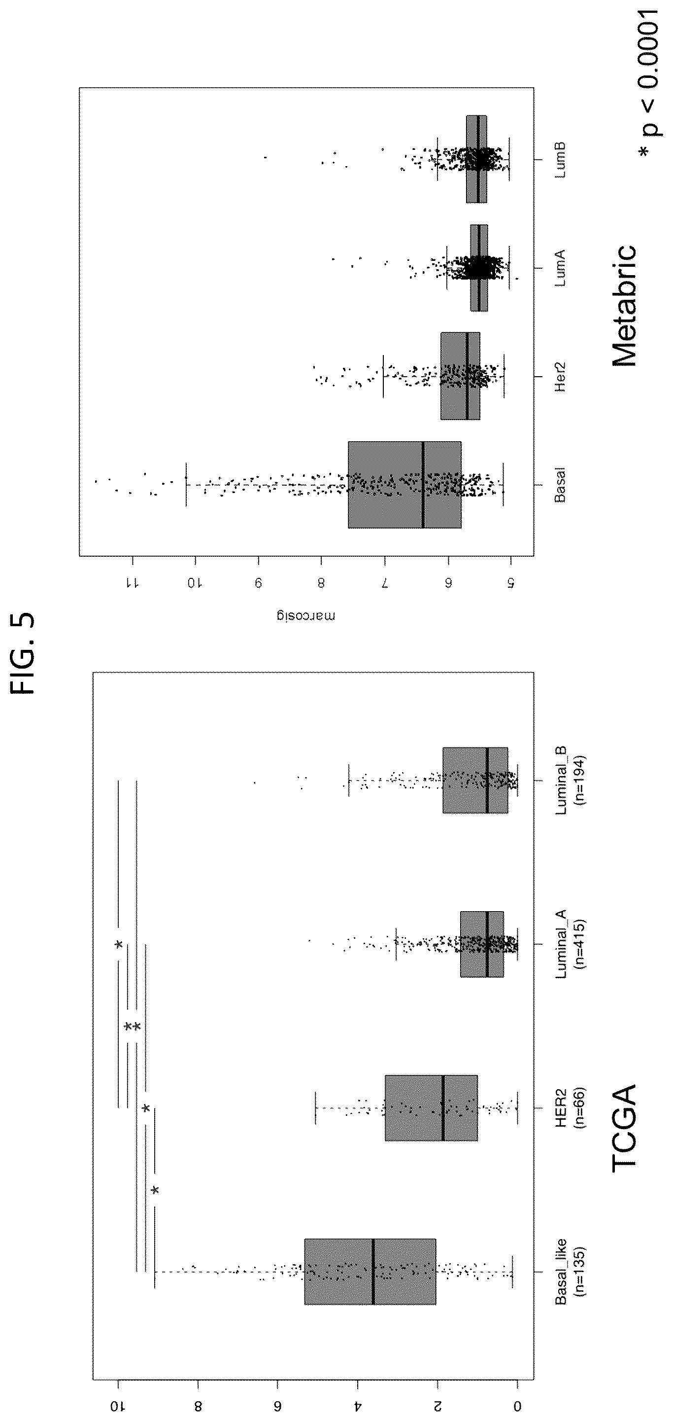 Patent US12378311 Figure 5 – Anti-MARCO antibodies and uses thereof