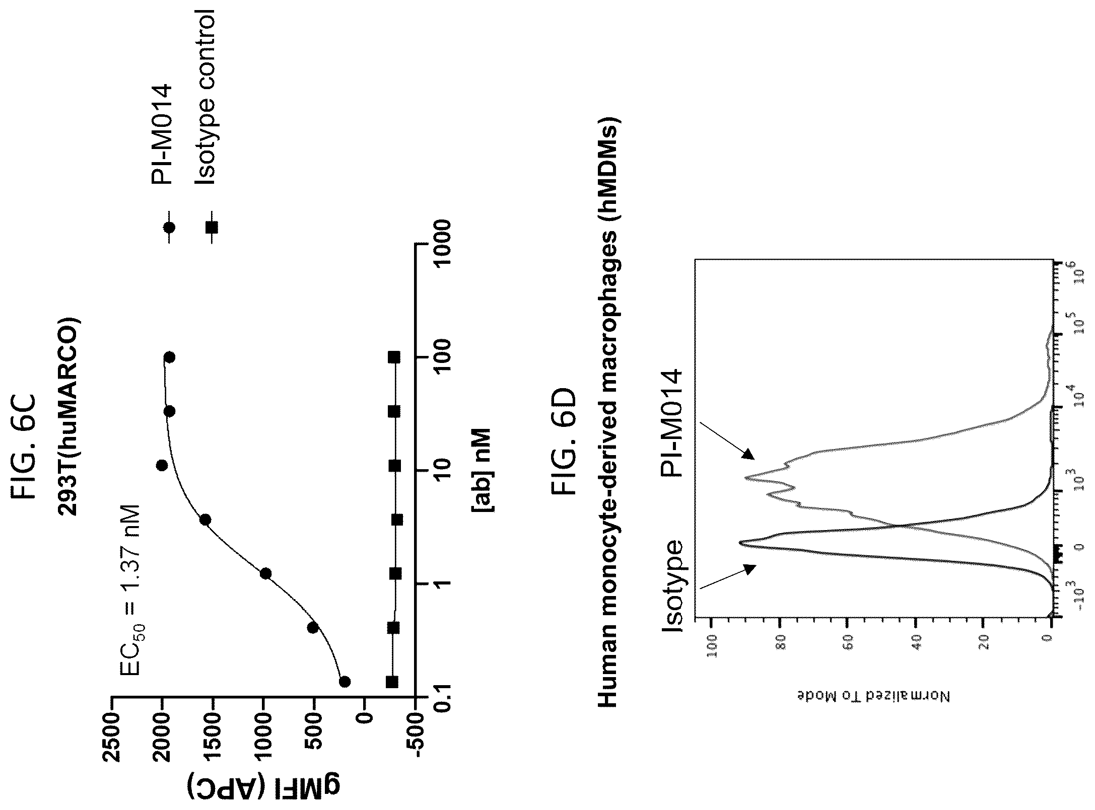 Patent US12378311 Figure 7 – Anti-MARCO antibodies and uses thereof