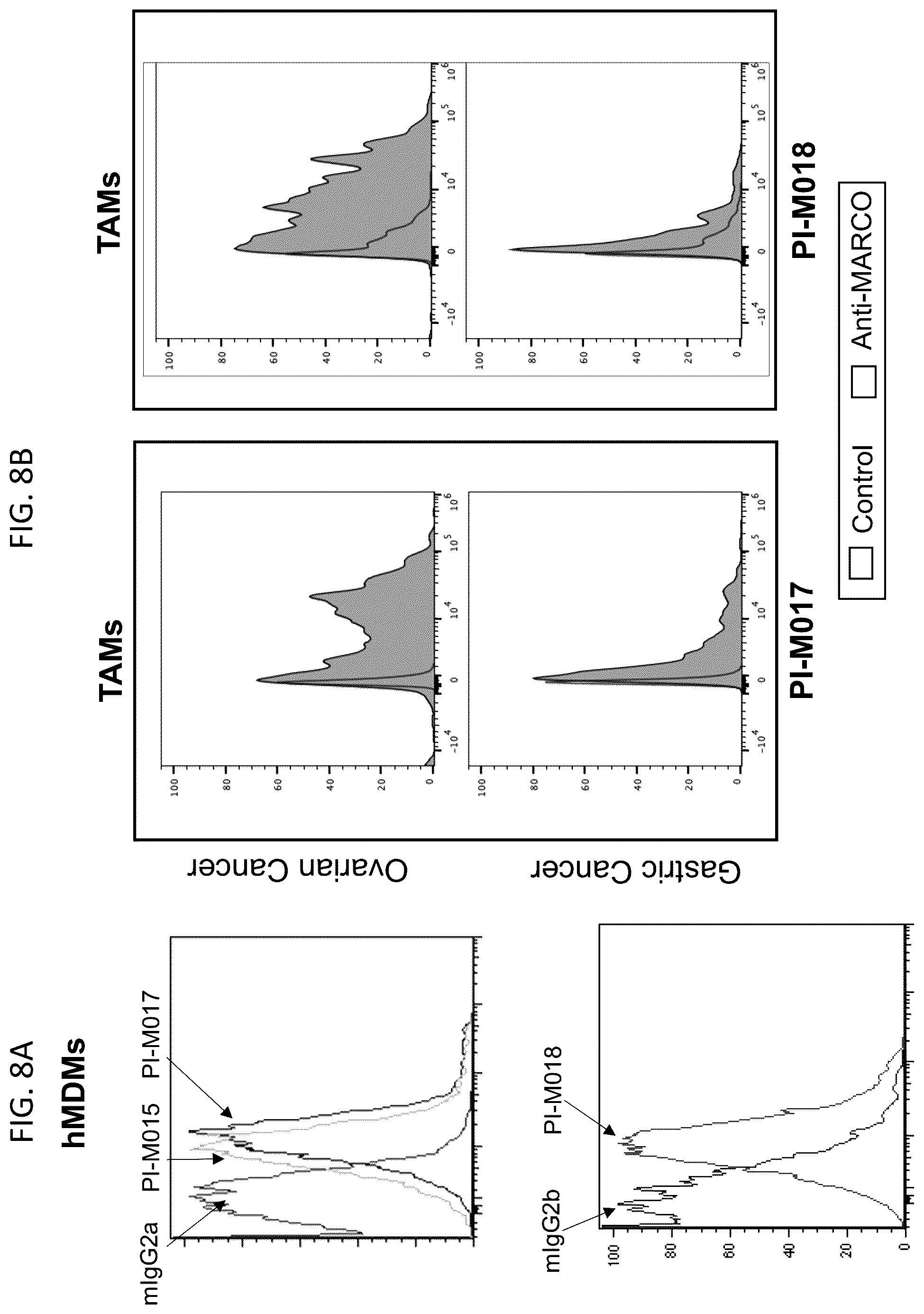 Patent US12378311 Figure 9 – Anti-MARCO antibodies and uses thereof