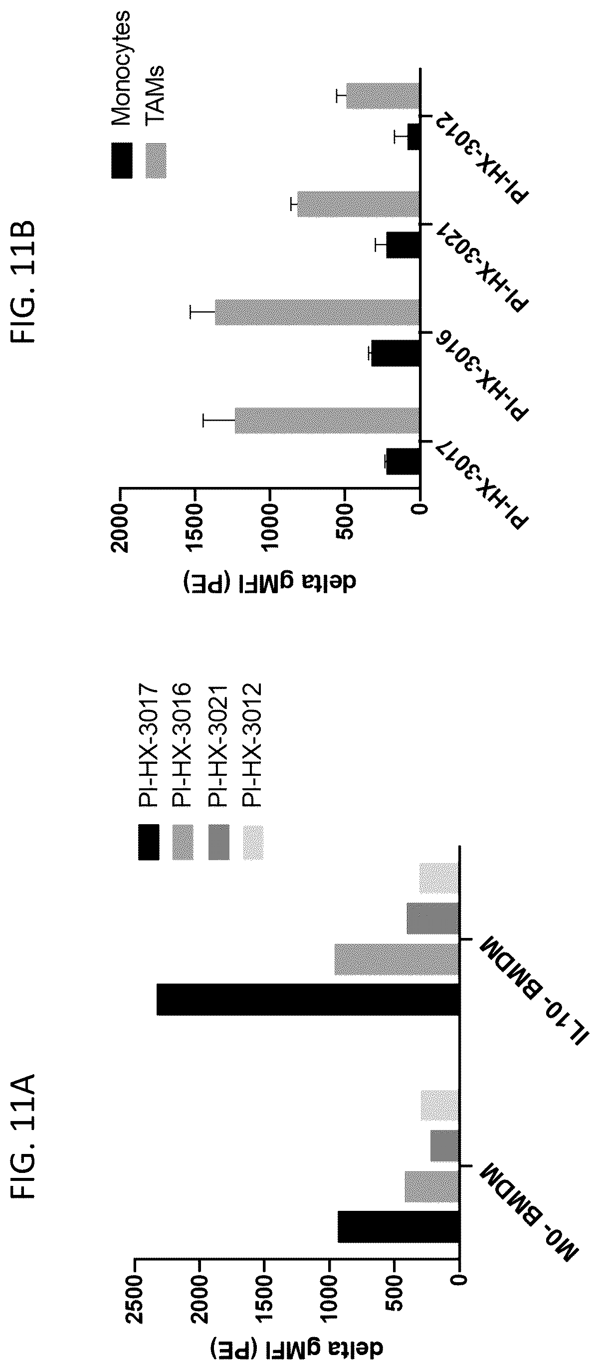 Patent US12378311 Figure 12 – Anti-MARCO antibodies and uses thereof