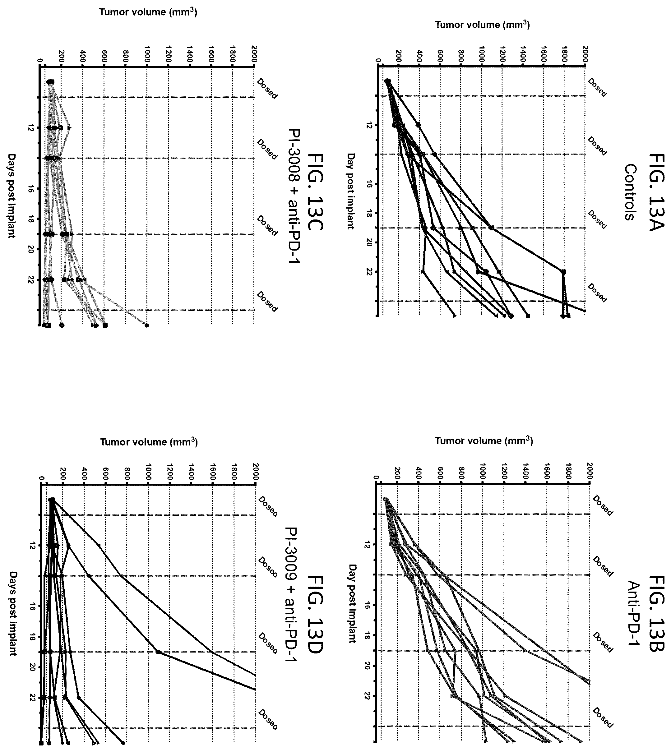 Patent US12378311 Figure 14 – Anti-MARCO antibodies and uses thereof