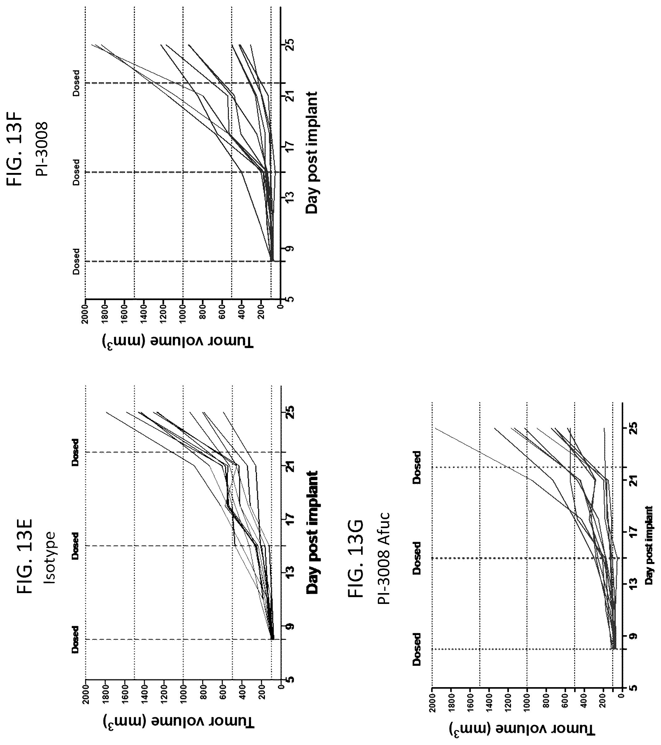 Patent US12378311 Figure 15 – Anti-MARCO antibodies and uses thereof