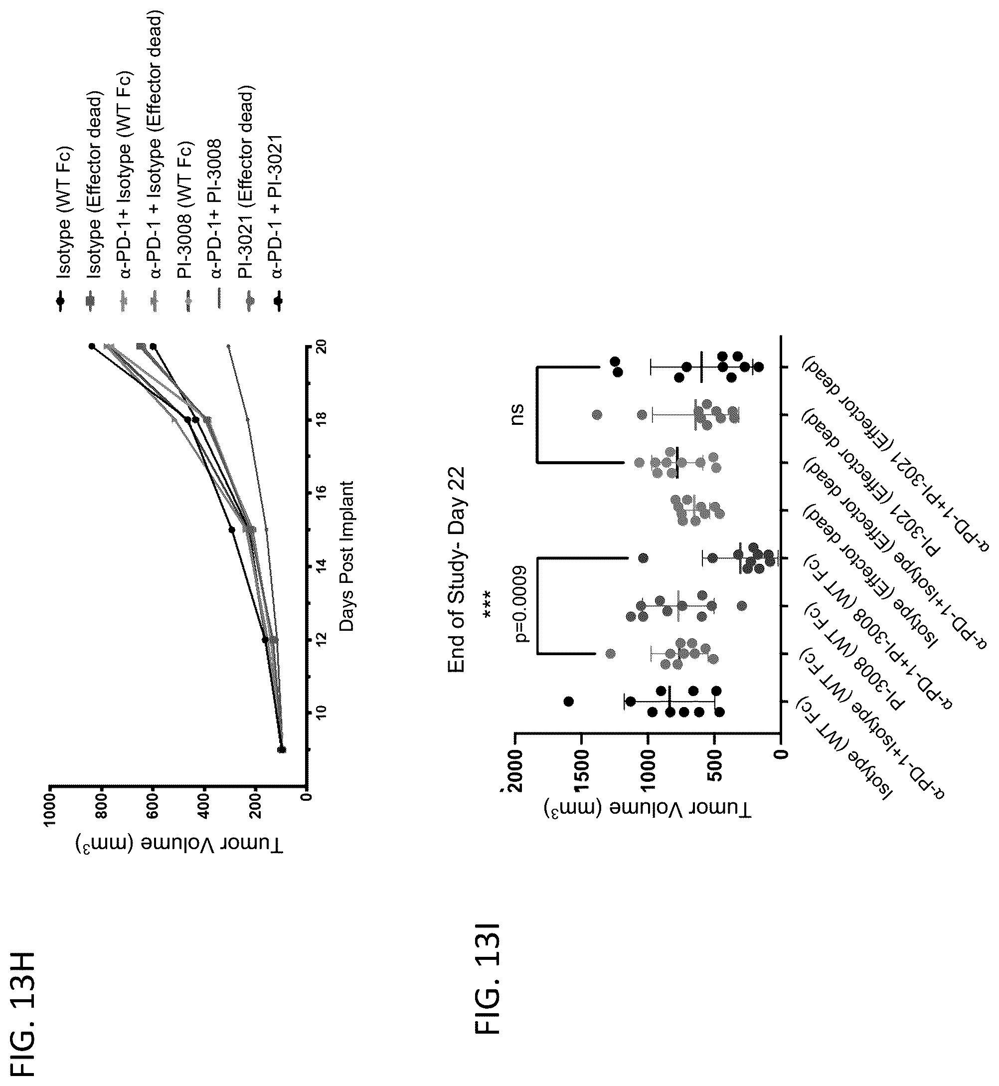 Patent US12378311 Figure 16 – Anti-MARCO antibodies and uses thereof