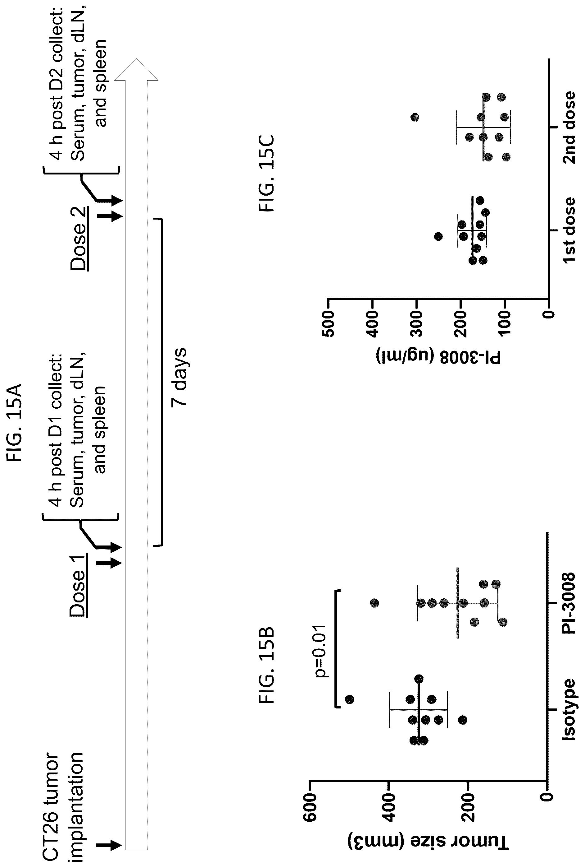Patent US12378311 Figure 19 – Anti-MARCO antibodies and uses thereof