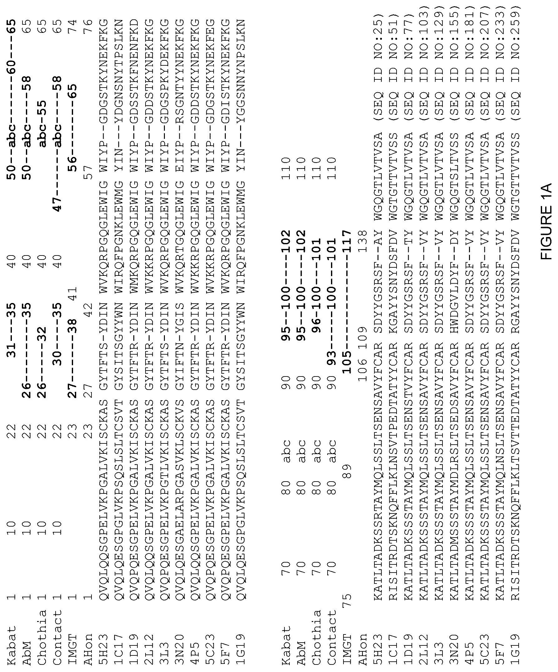Patent US12378312 Figure 1 – Polynucleotides encoding human beta klotho antibodies or binding fragments thereof and methods of use thereof