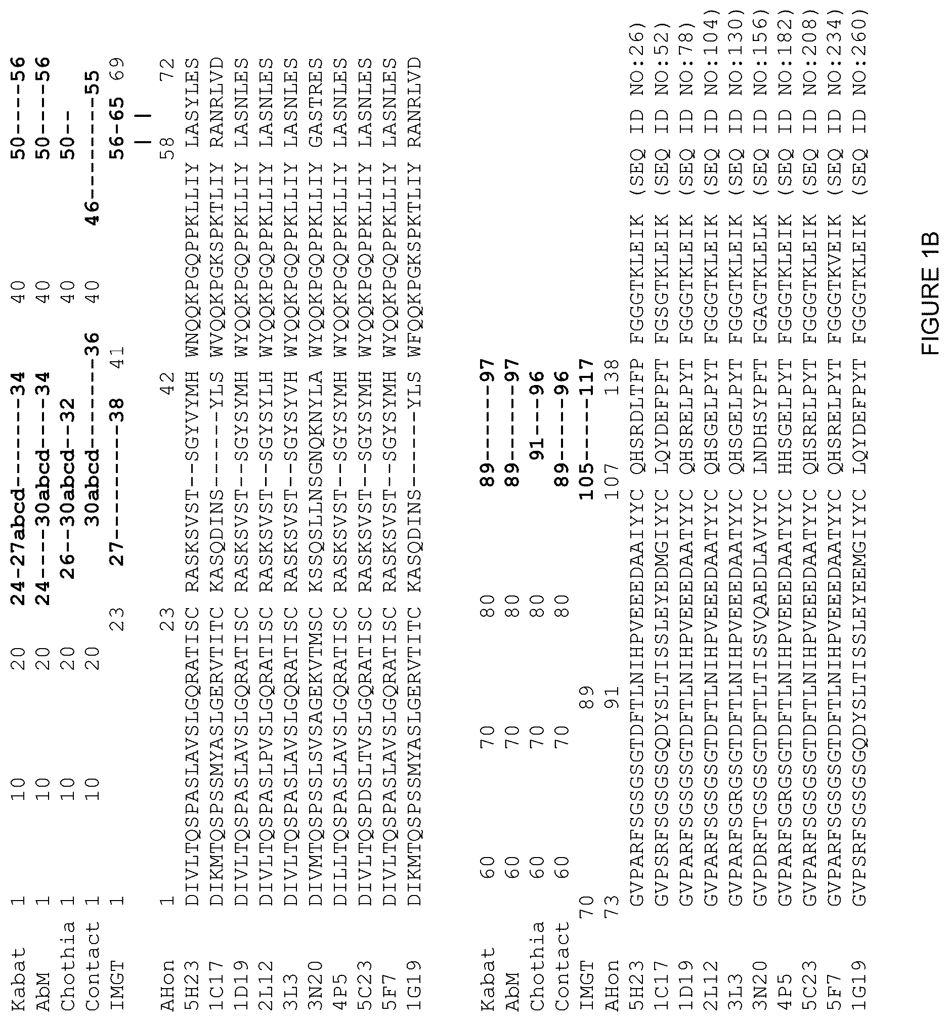 Patent US12378312 Figure 2 – Polynucleotides encoding human beta klotho antibodies or binding fragments thereof and methods of use thereof