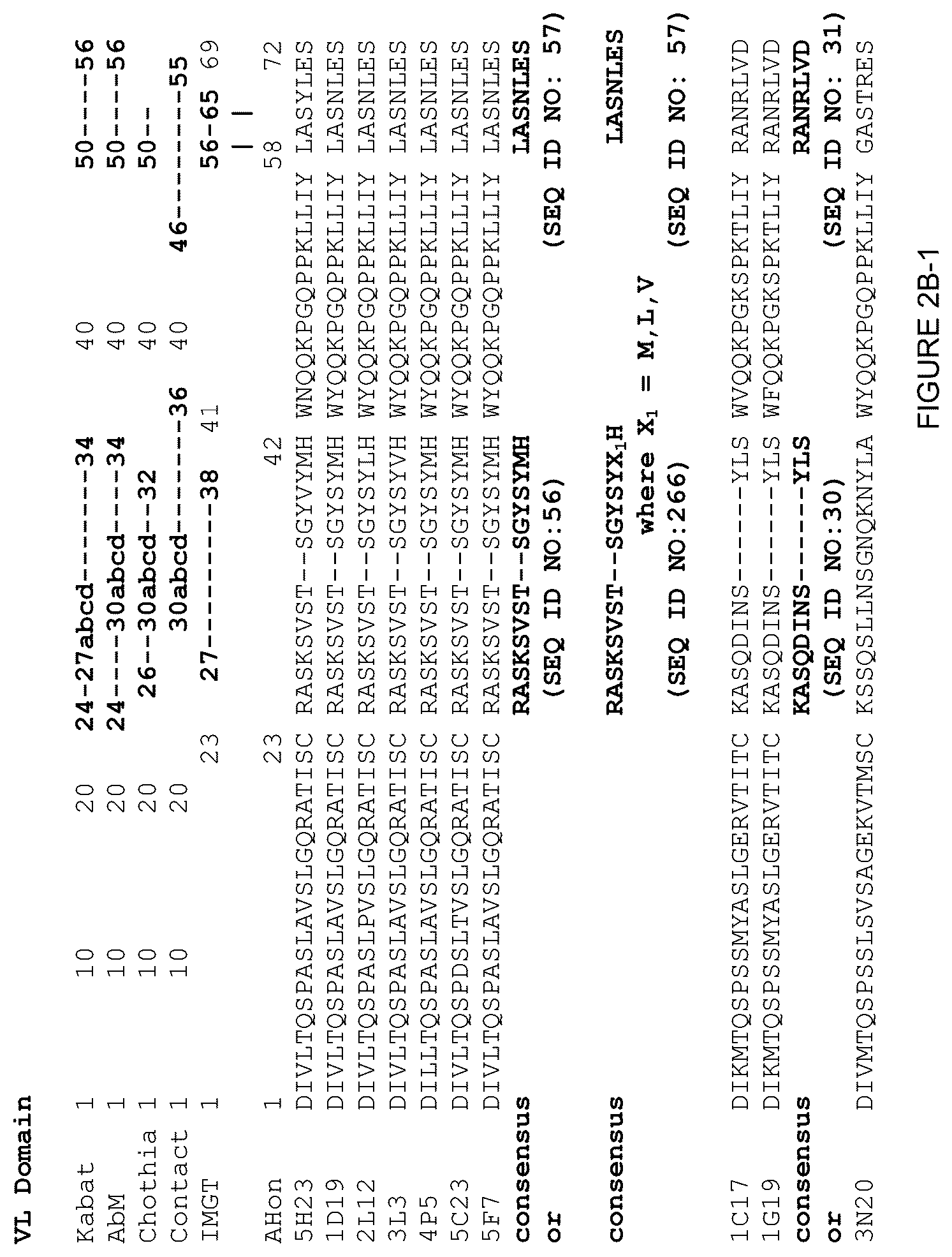 Patent US12378312 Figure 5 – Polynucleotides encoding human beta klotho antibodies or binding fragments thereof and methods of use thereof