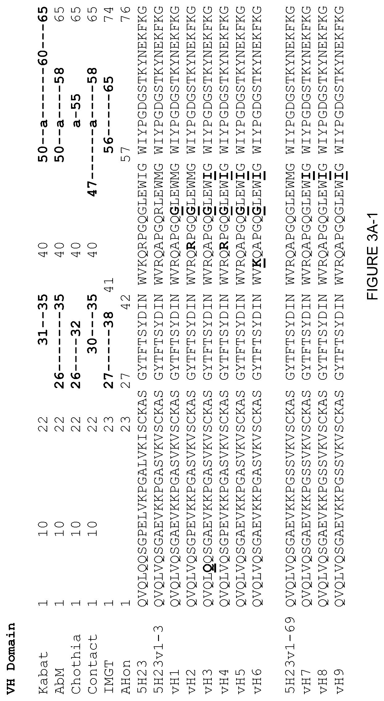 Patent US12378312 Figure 7 – Polynucleotides encoding human beta klotho antibodies or binding fragments thereof and methods of use thereof