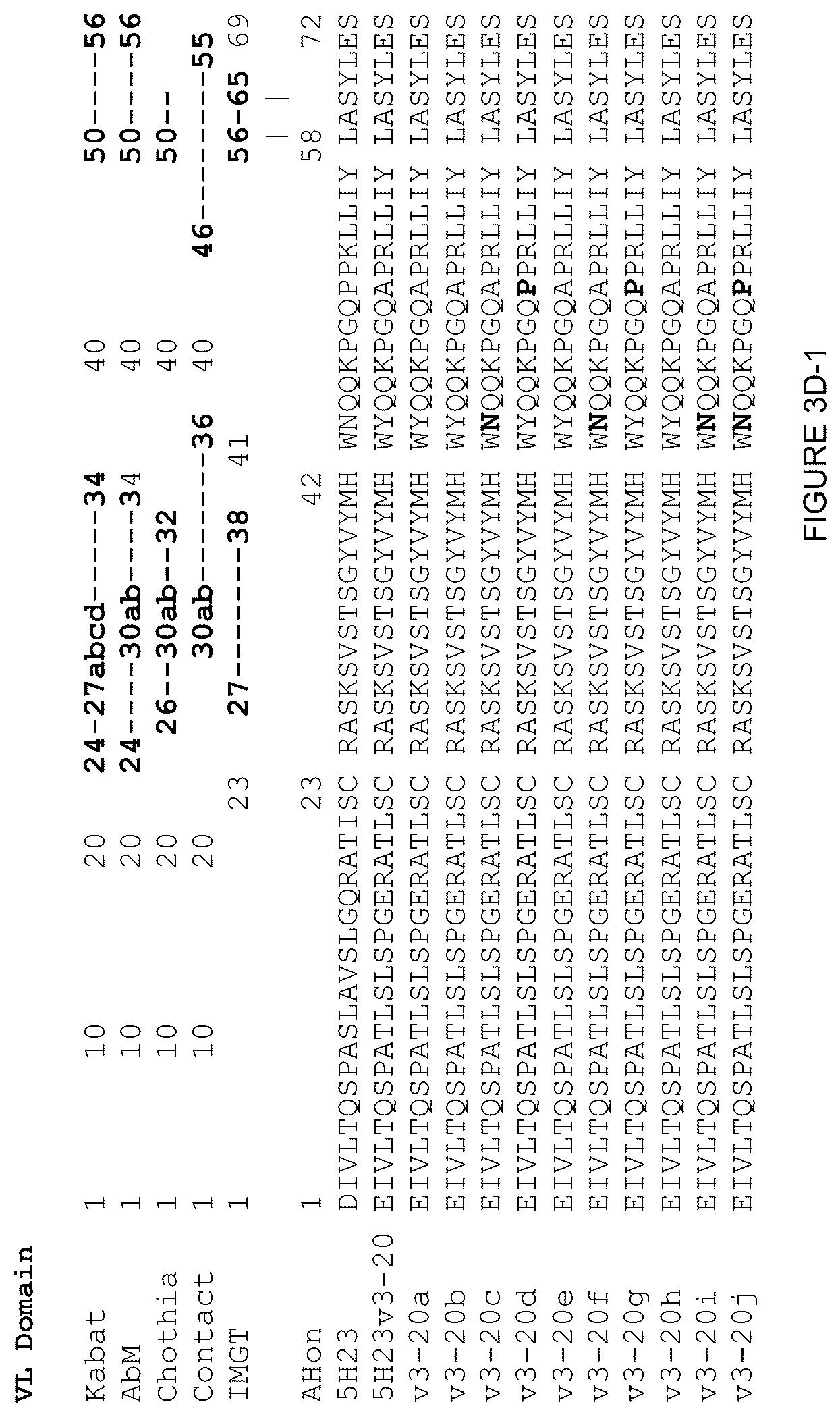Patent US12378312 Figure 12 – Polynucleotides encoding human beta klotho antibodies or binding fragments thereof and methods of use thereof