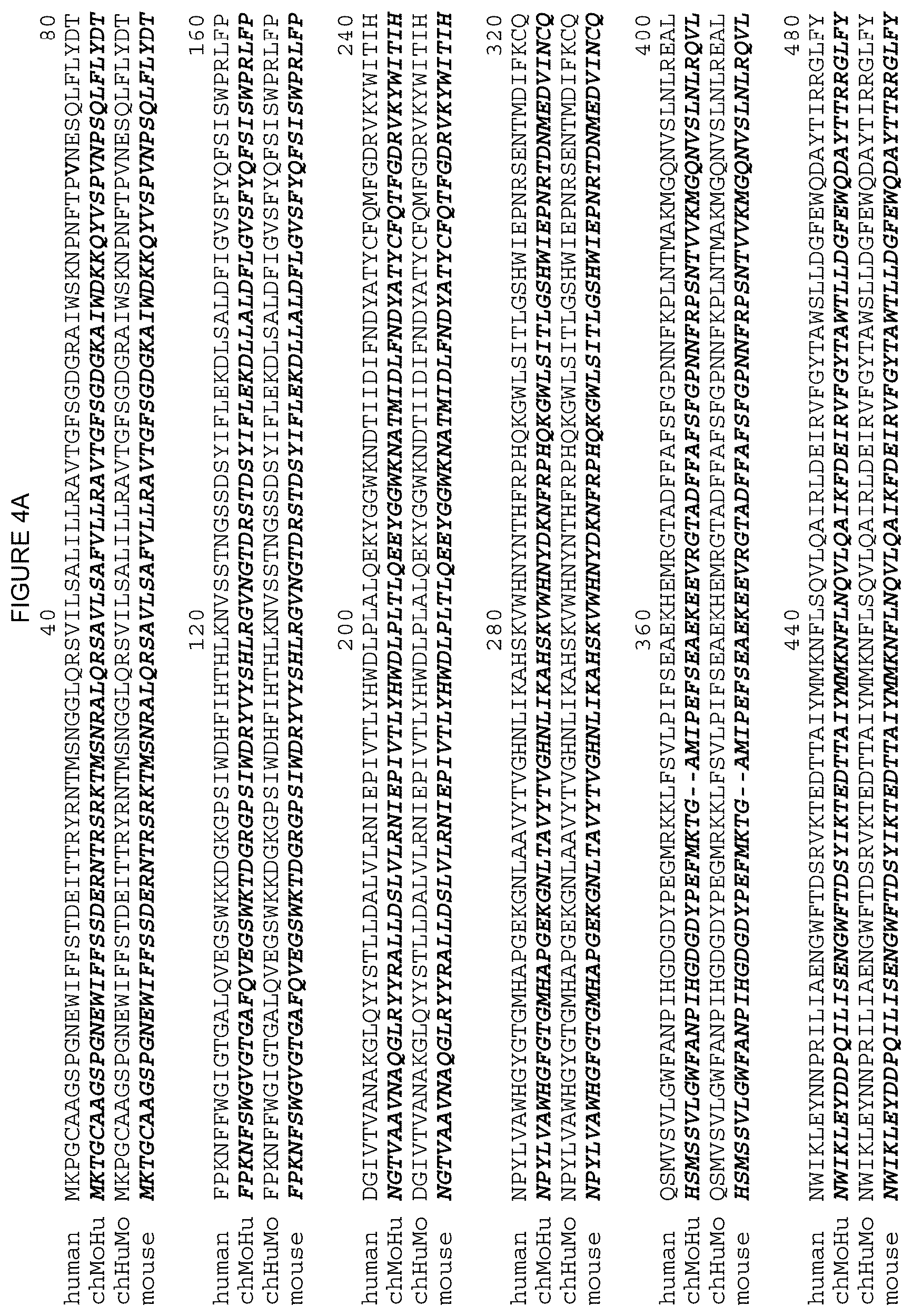Patent US12378312 Figure 14 – Polynucleotides encoding human beta klotho antibodies or binding fragments thereof and methods of use thereof