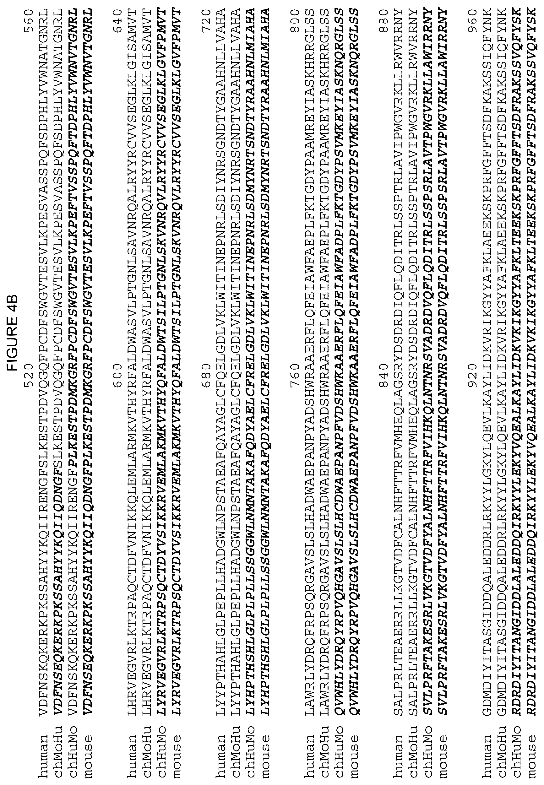 Patent US12378312 Figure 15 – Polynucleotides encoding human beta klotho antibodies or binding fragments thereof and methods of use thereof